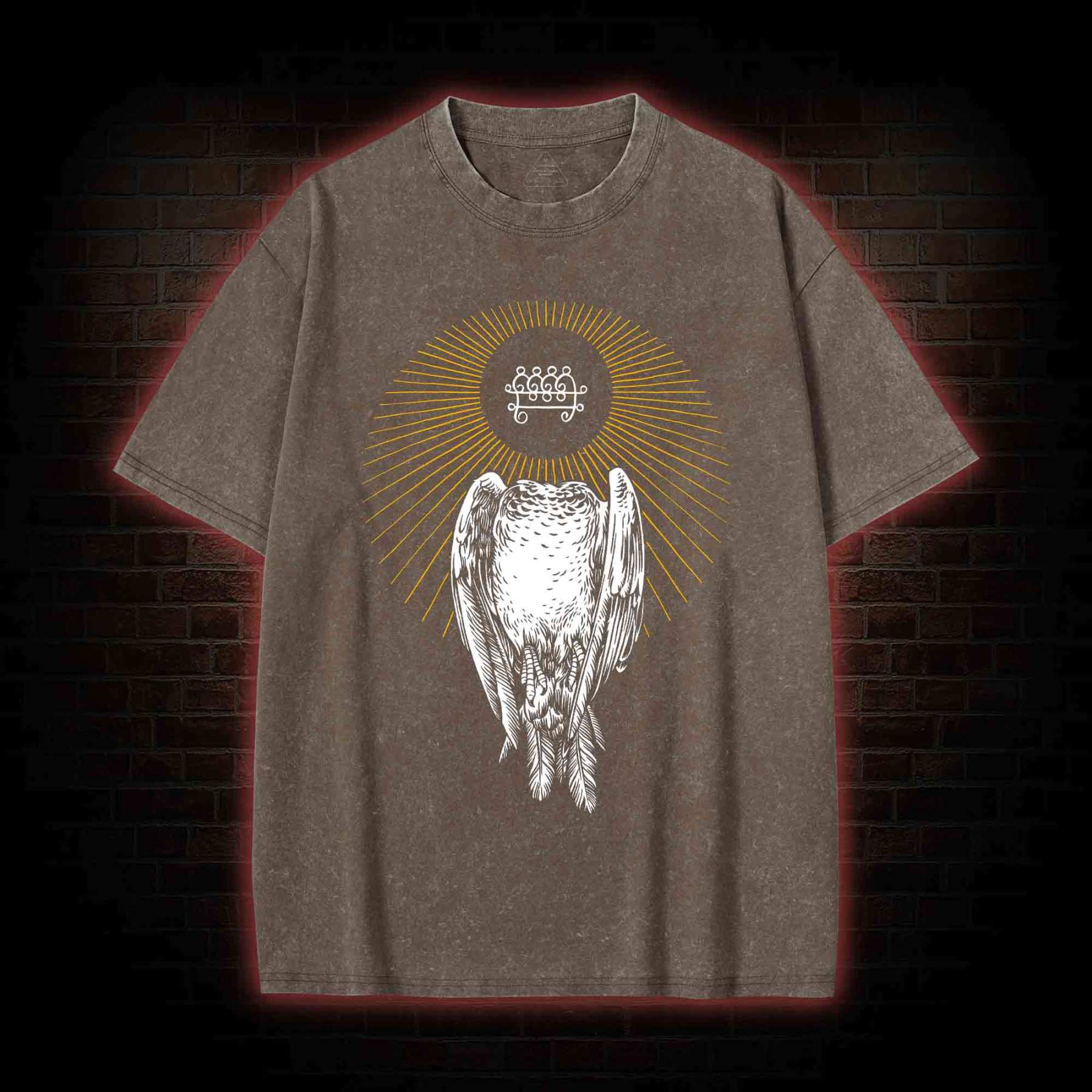 Headless Pigeon Washed T-shirt
