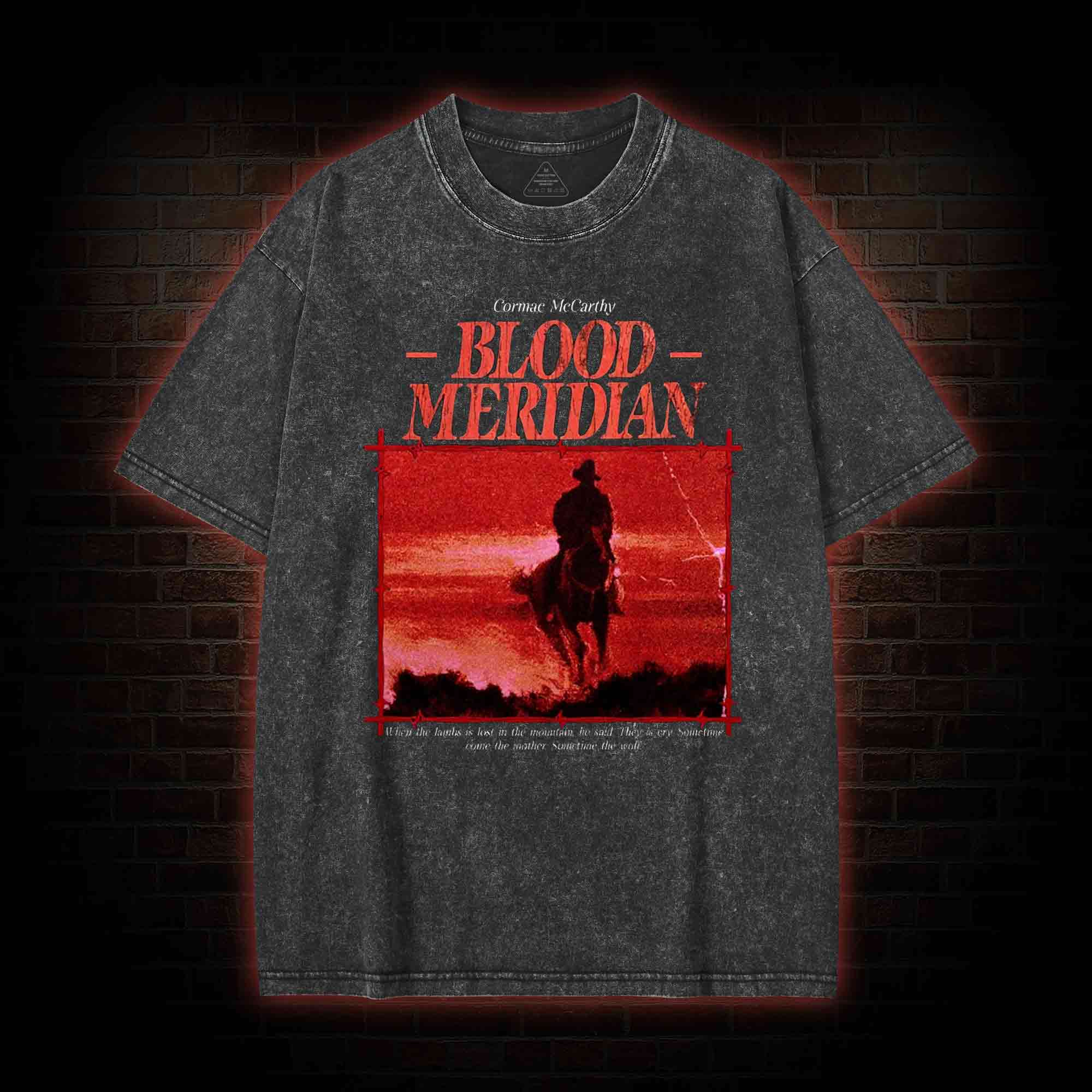 When the Lambs is Lost in the Mountain Washed T-shirt