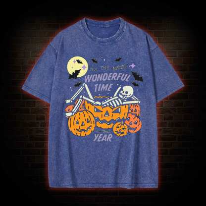 Most Wonderful Time Washed T-shirt