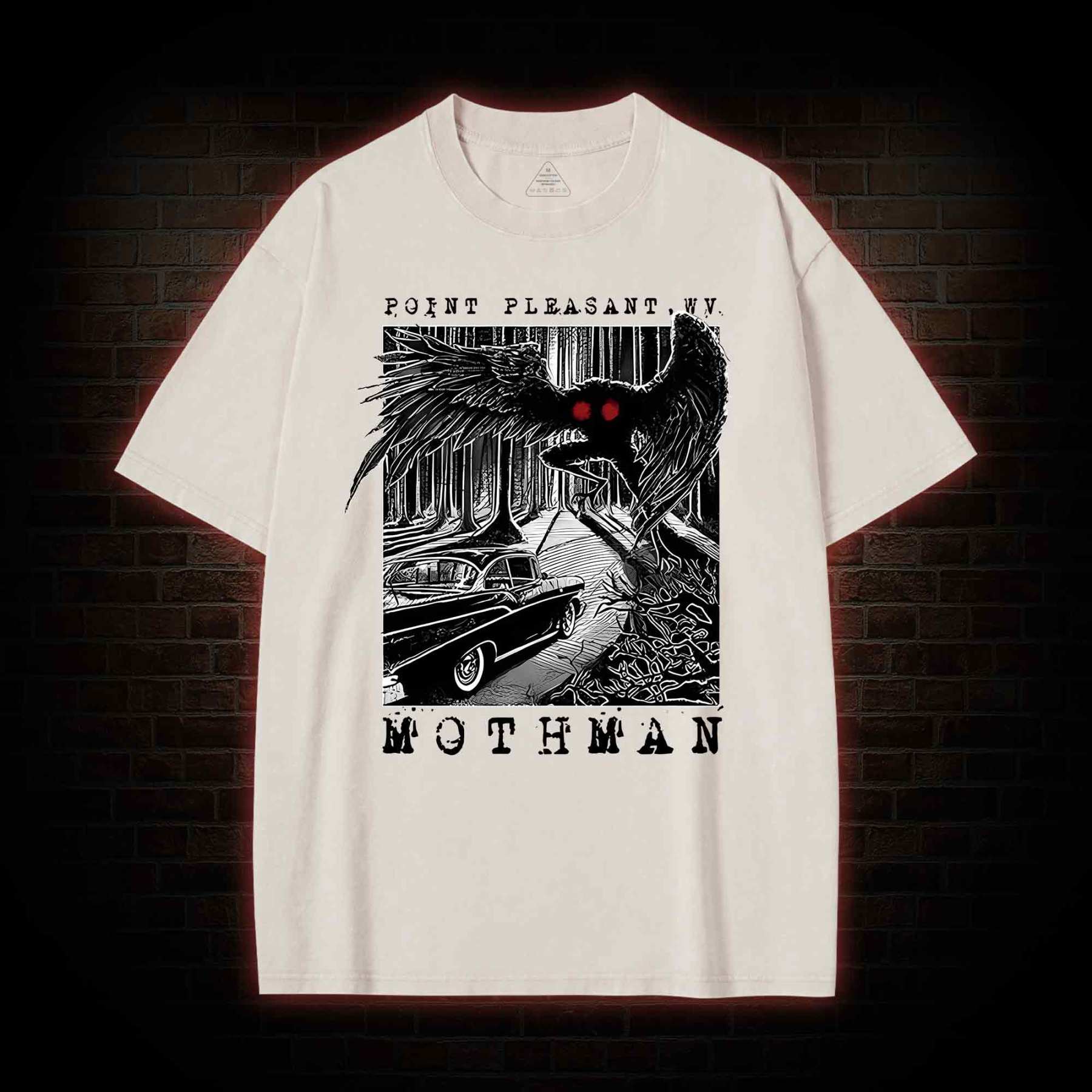 Mothman Encounter Point Pleasant Washed T-shirt