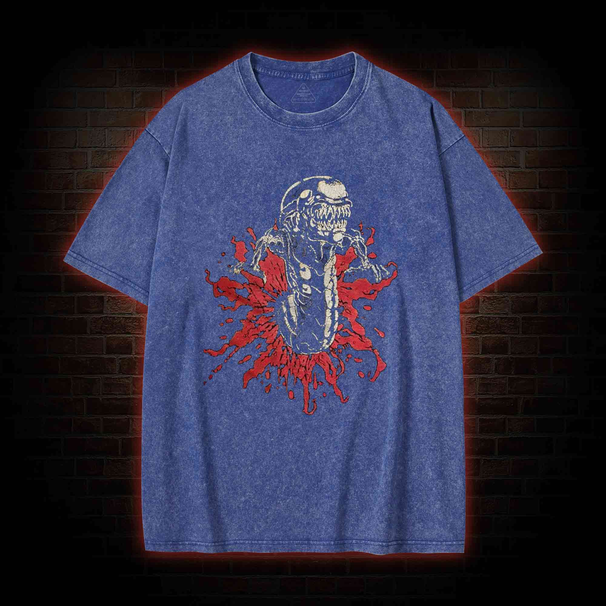 Infant Washed T-shirt