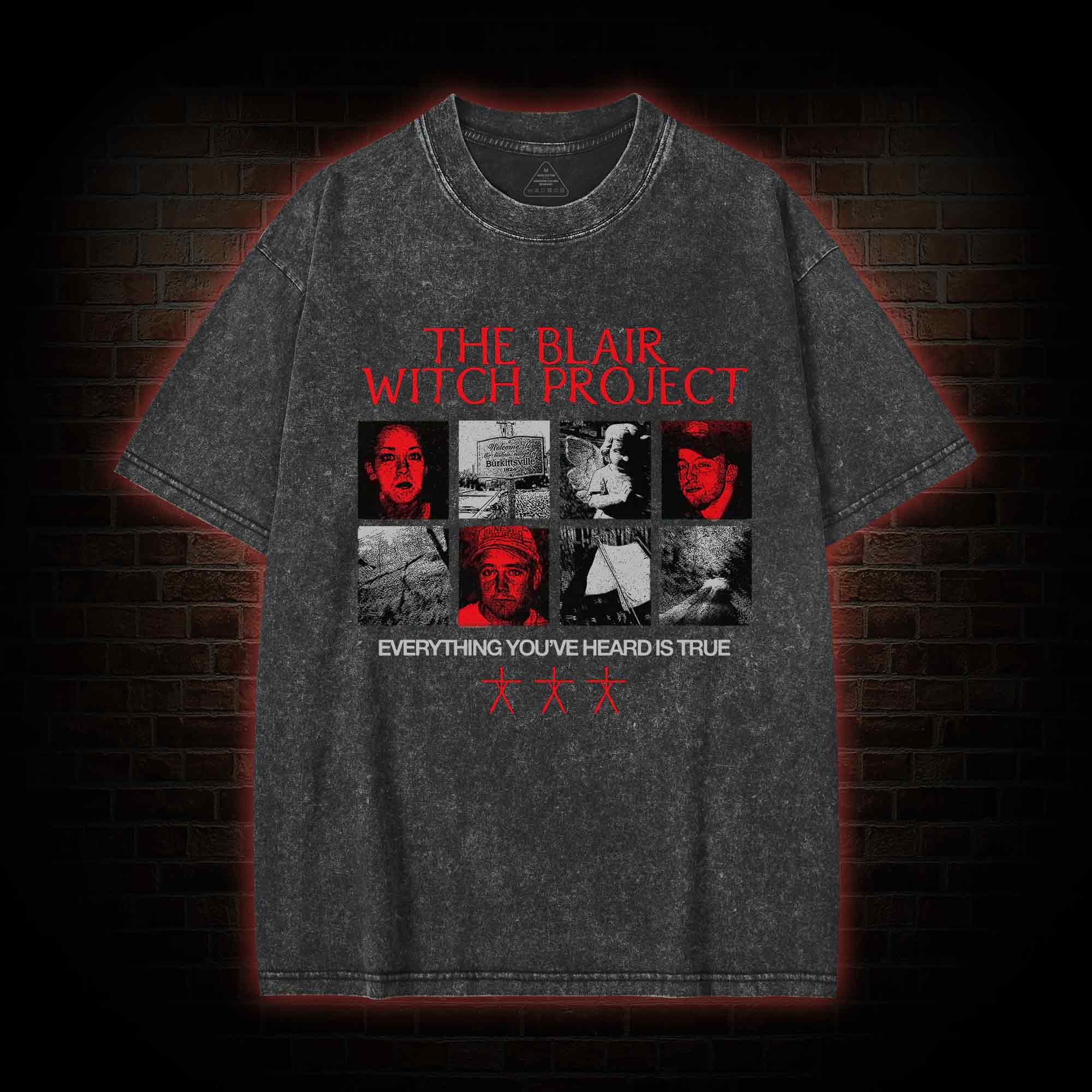 Everything You've Heard is True Washed T-shirt