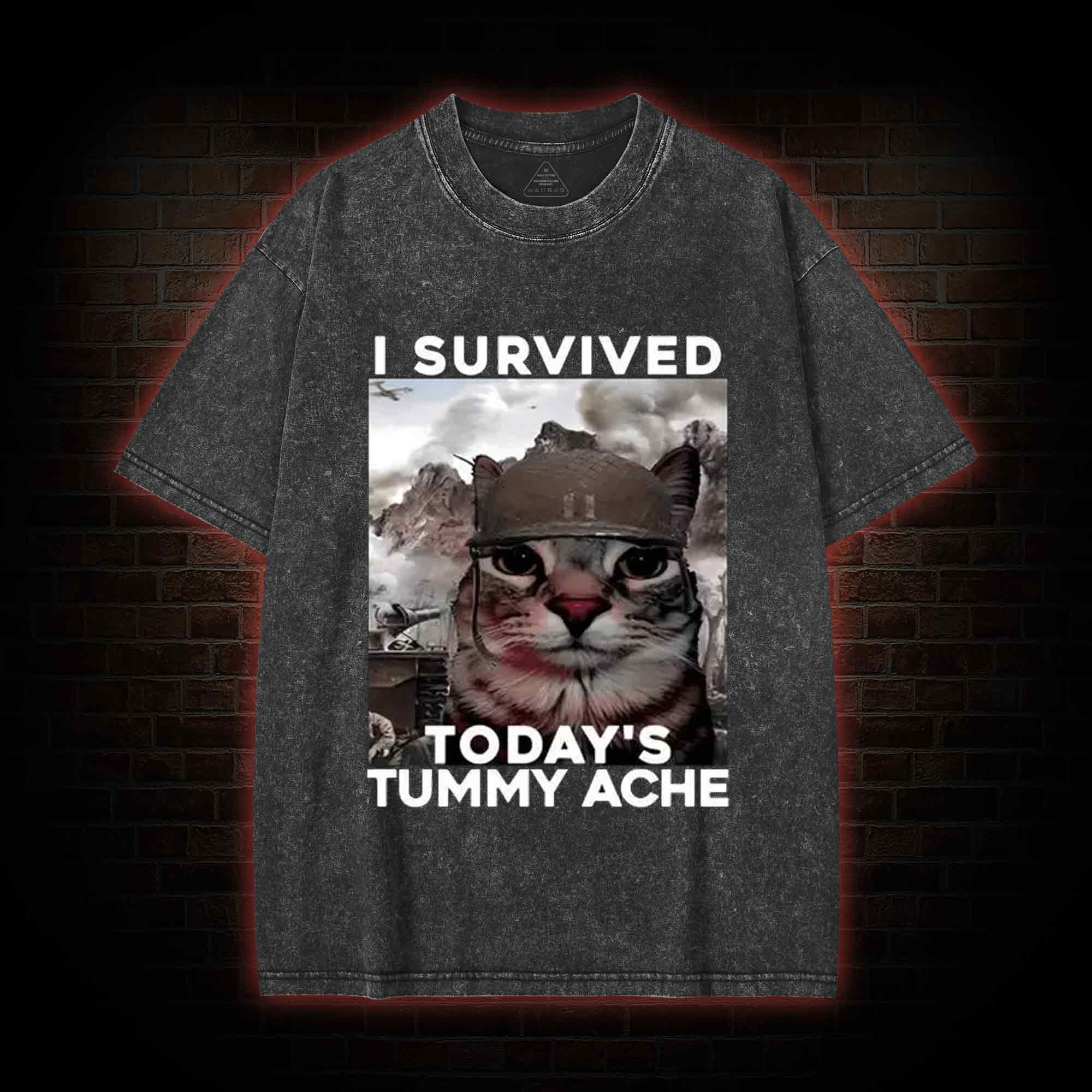 I Survived Today's Tummy Ache Washed T-shirt