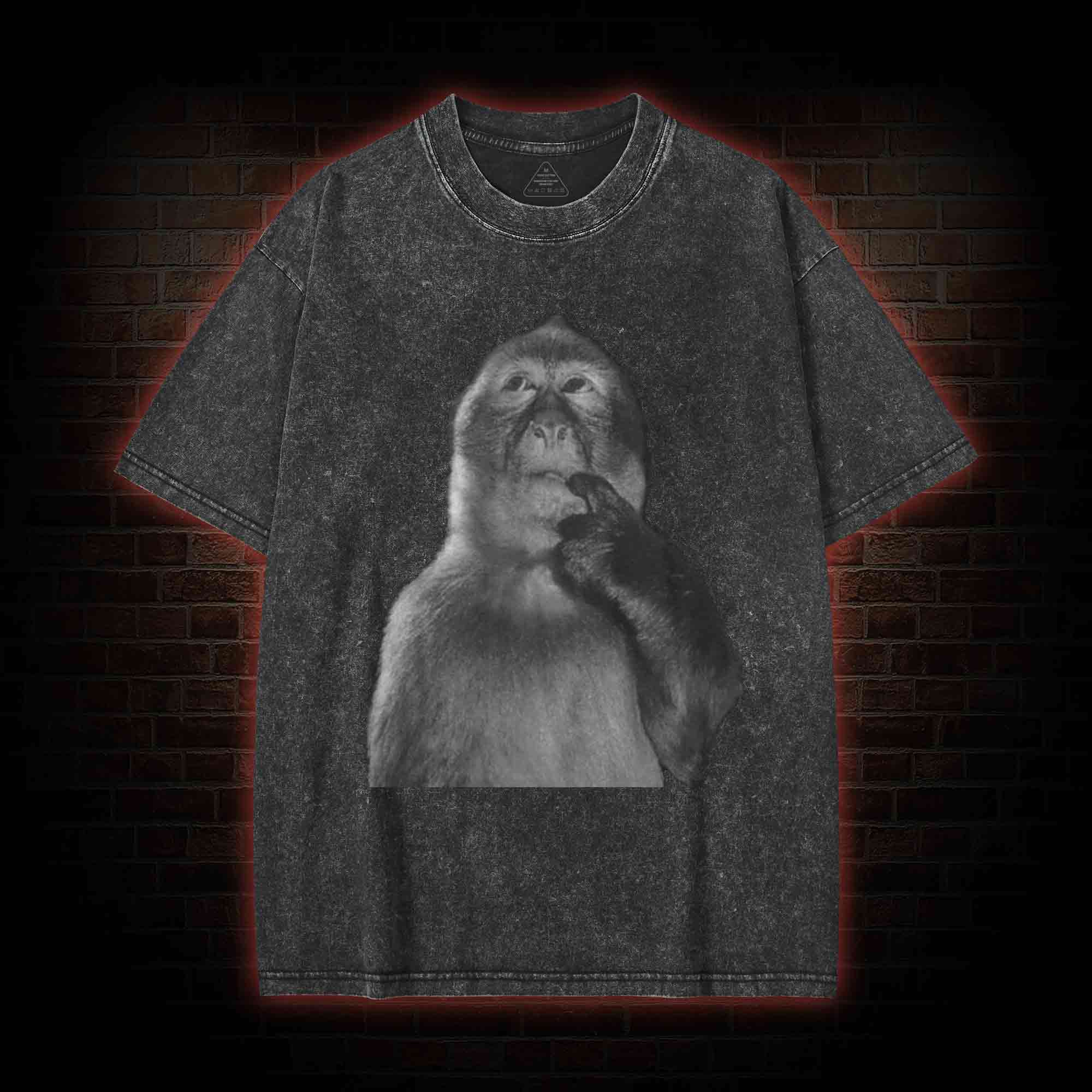 Funny Monkey Washed T-shirt
