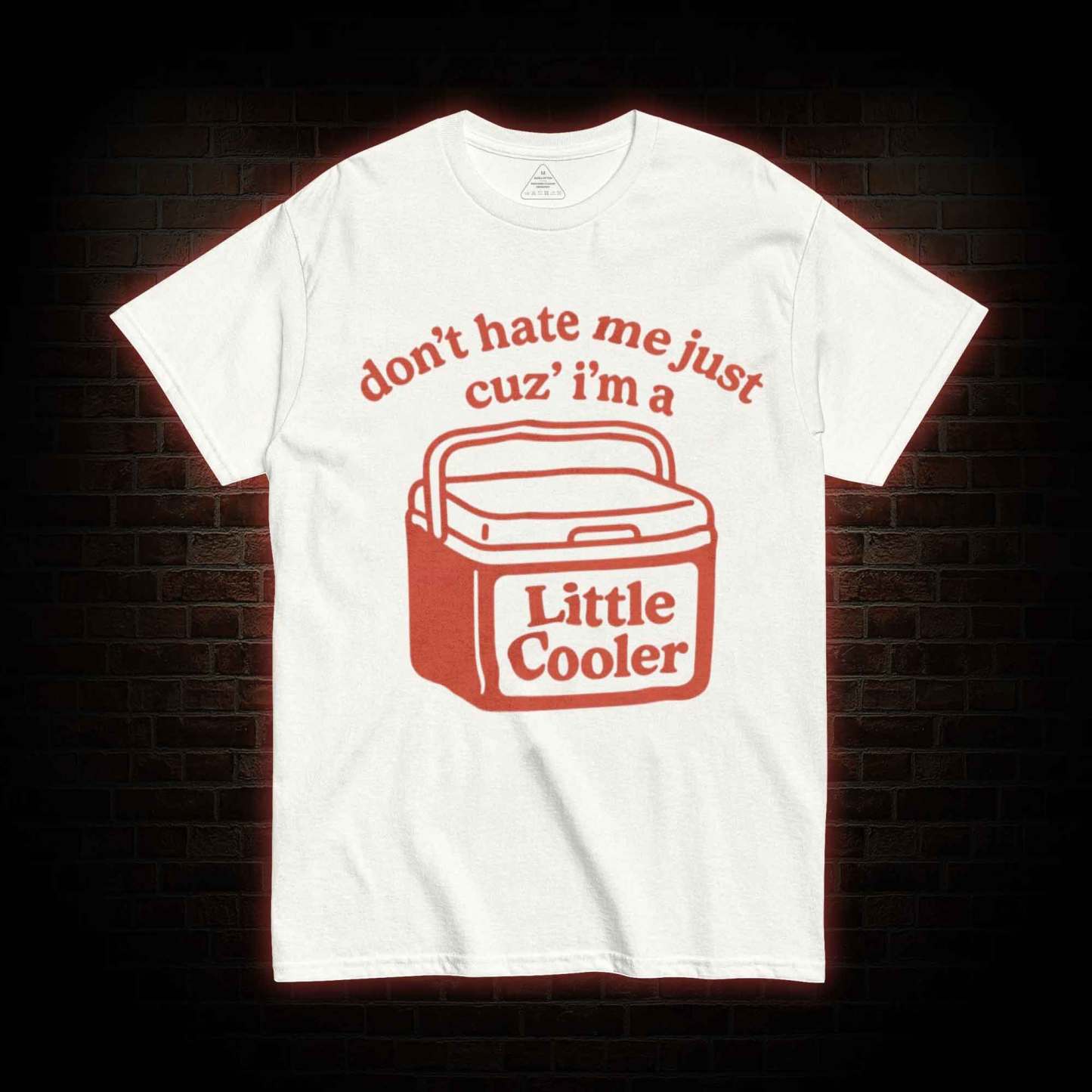 Don't Hate Me Cuz I'm a Little Cooler T-shirt