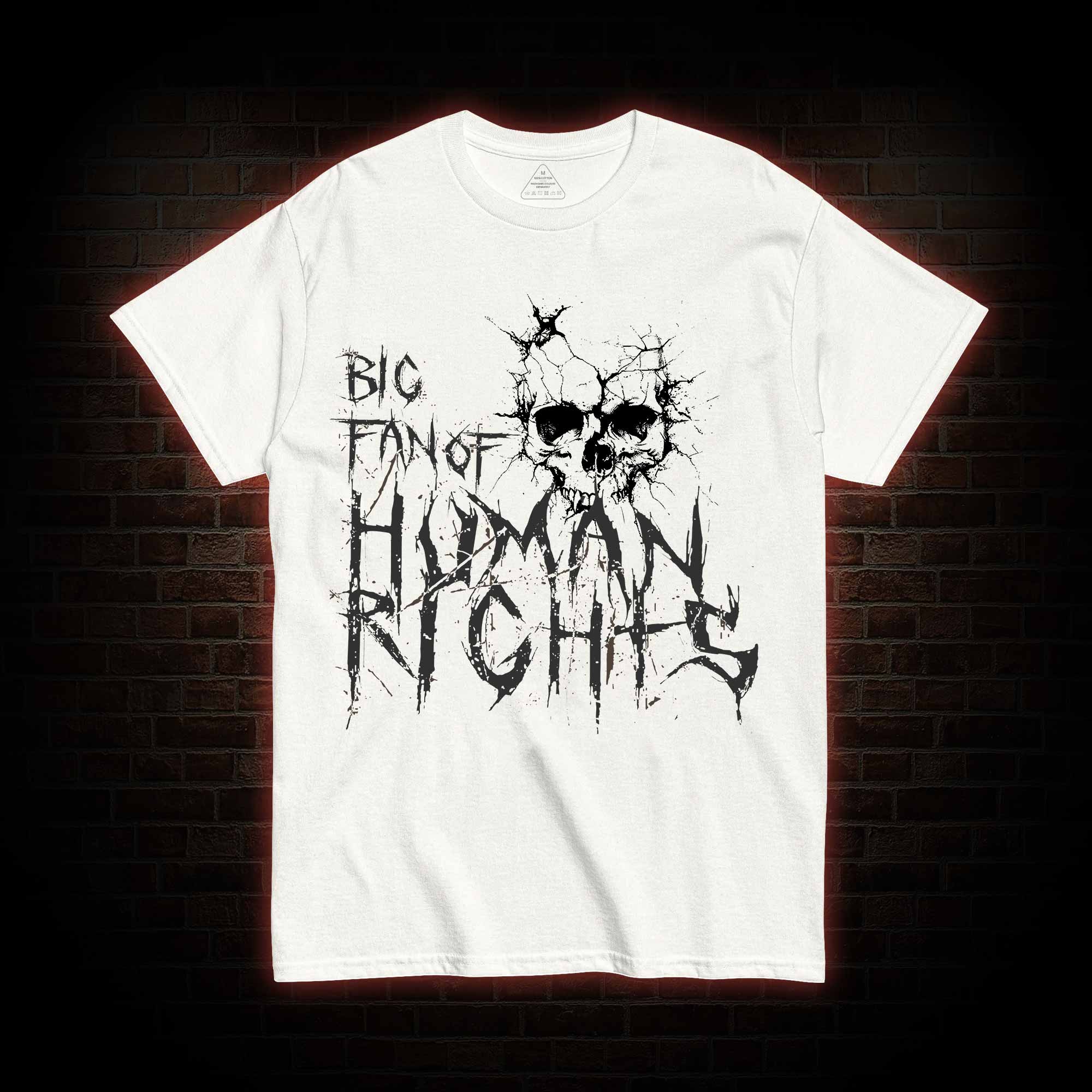 Big Fan of Human Rights T-shirt