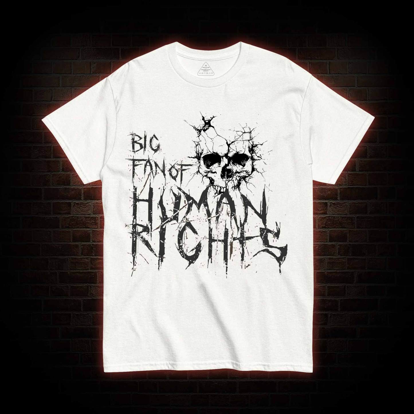 Big Fan of Human Rights T-shirt