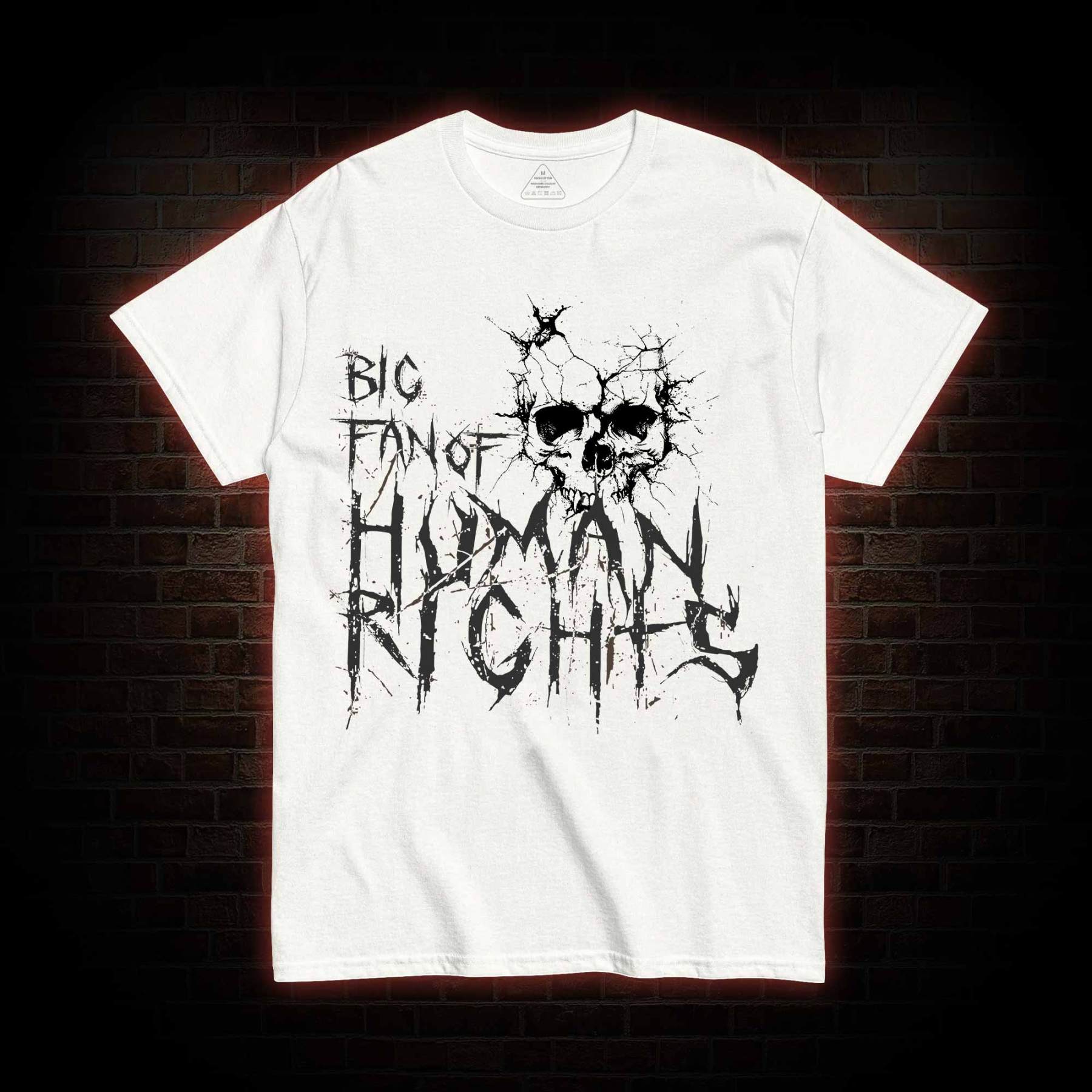 Big Fan of Human Rights T-shirt