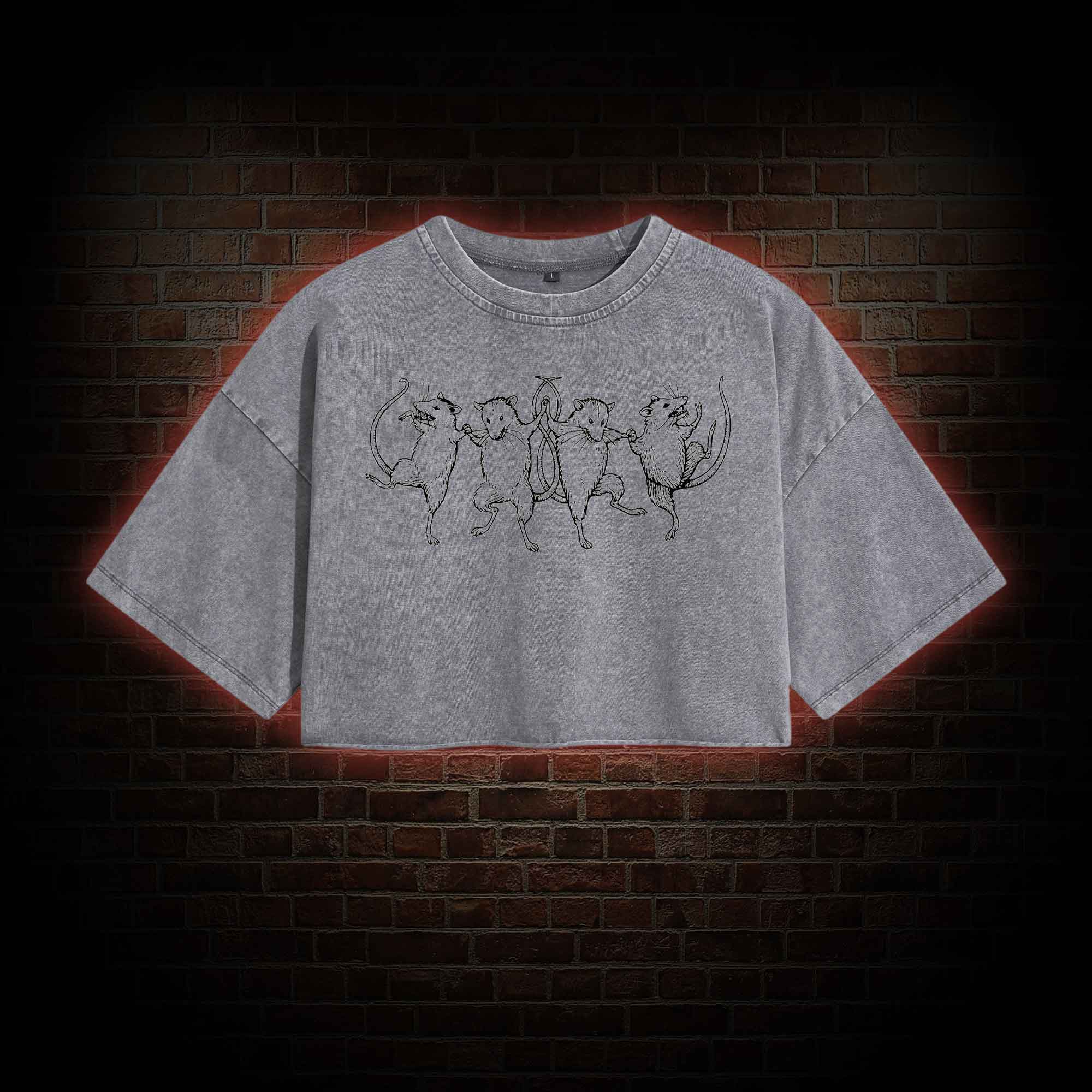 Dancing Rats Washed Cropped T-shirts