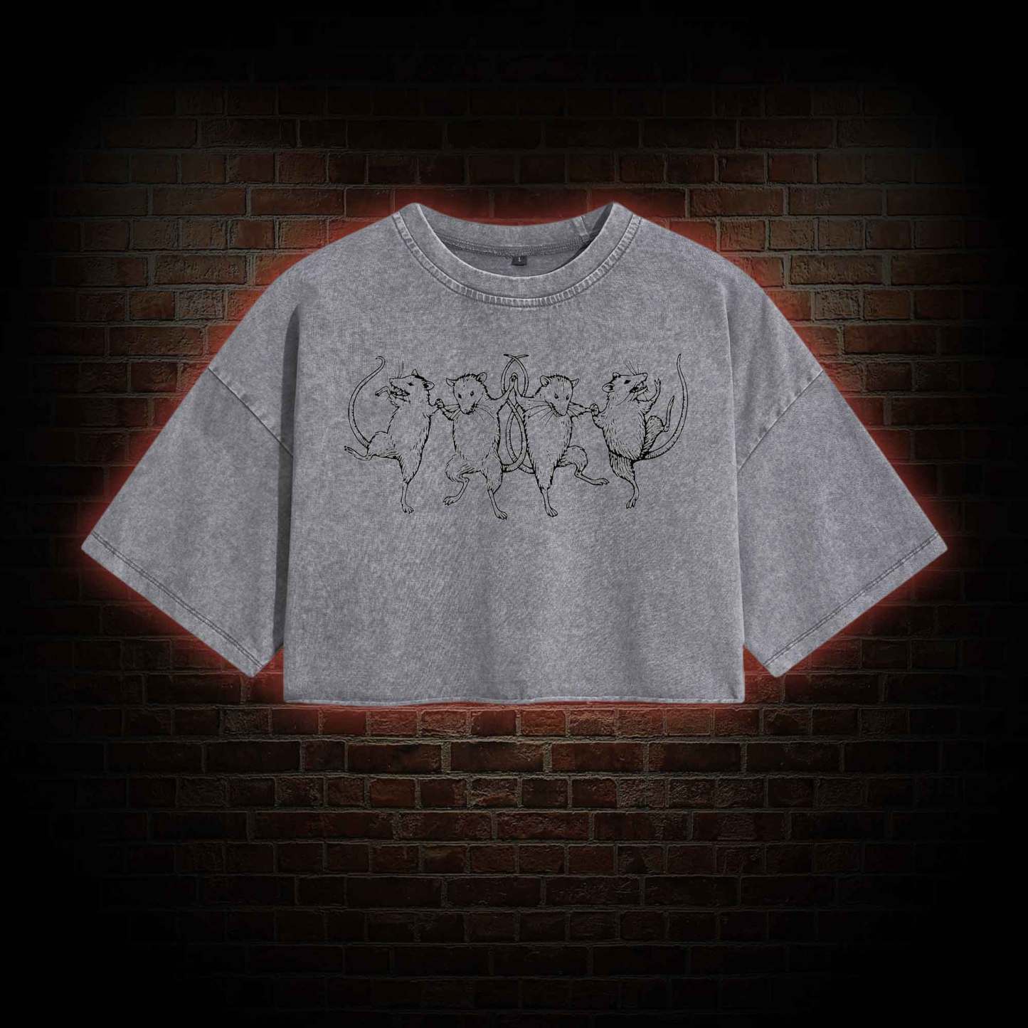 Dancing Rats Washed Cropped T-shirts