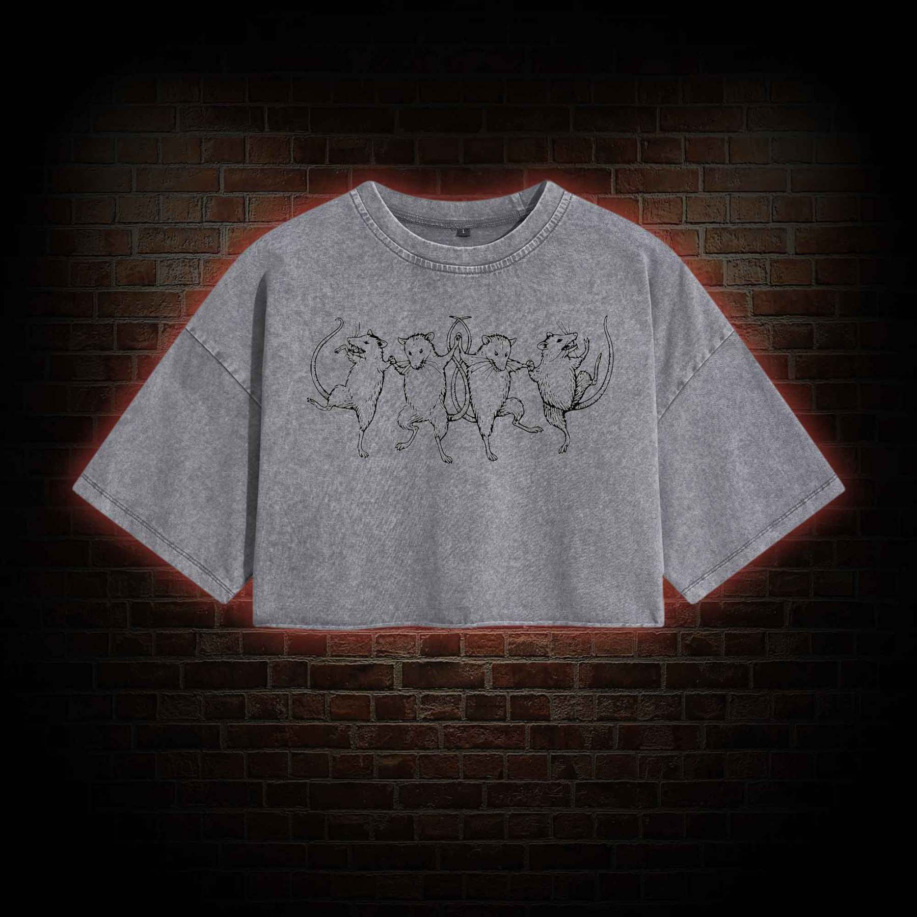 Dancing Rats Washed Cropped T-shirts