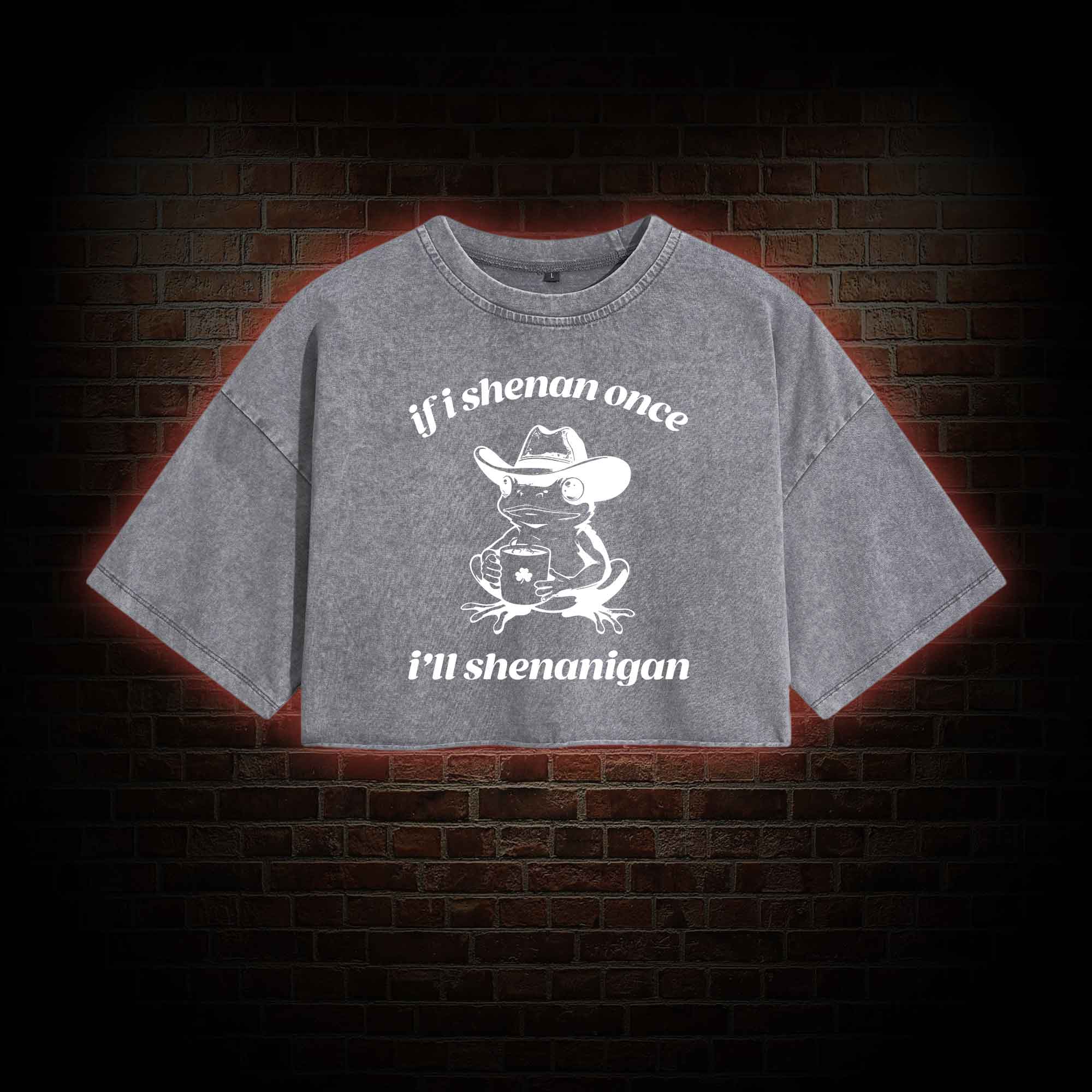 If I Shenan Once I'll Shenanigan Washed Cropped T-shirts
