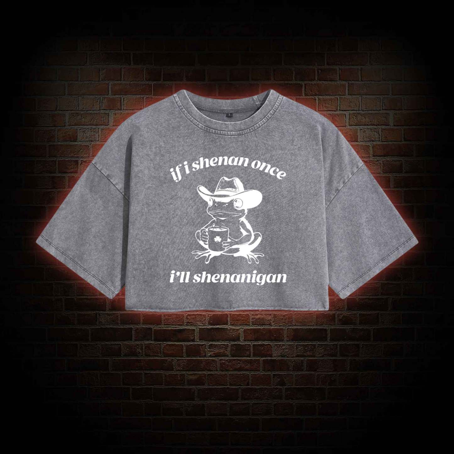 If I Shenan Once I'll Shenanigan Washed Cropped T-shirts