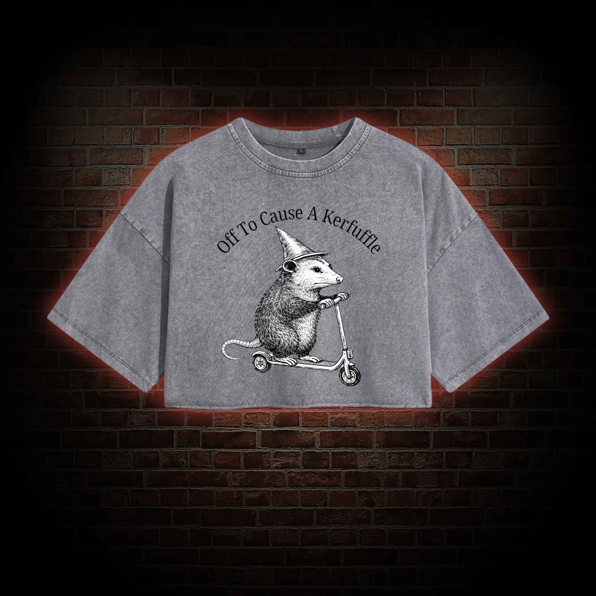 Cause a Kerfuffle Washed Cropped T-shirts