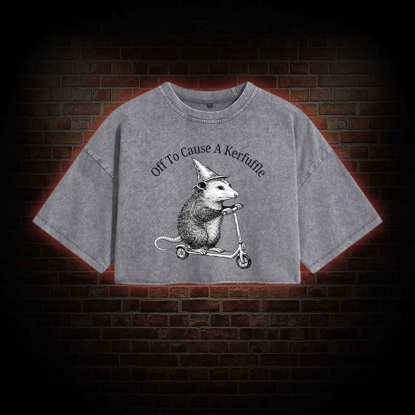 Cause a Kerfuffle Washed Cropped T-shirts