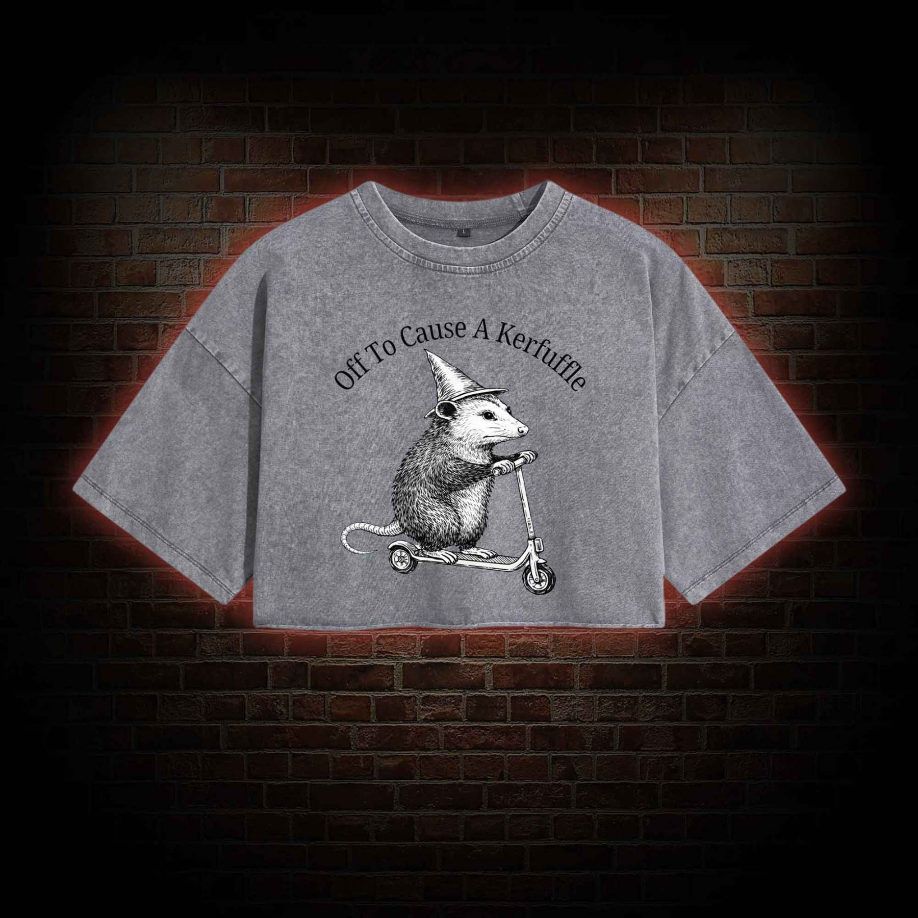 Cause a Kerfuffle Washed Cropped T-shirts