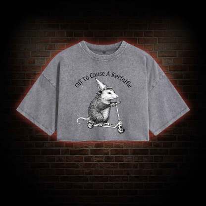 Cause a Kerfuffle Washed Cropped T-shirts