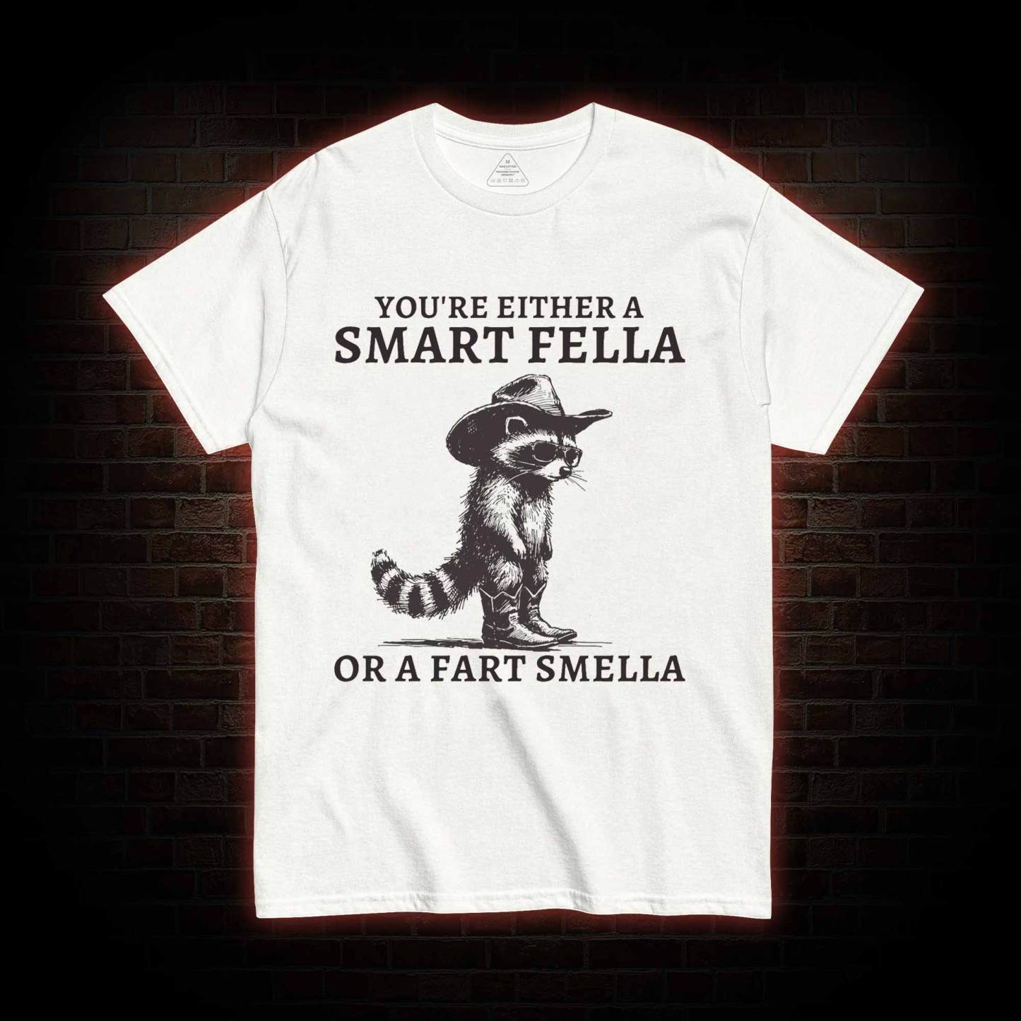 You're Either a Smart Fella or a  Fart Smella T-shirt