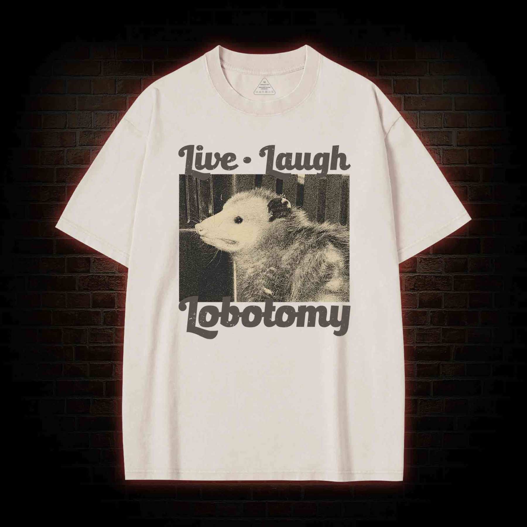 Live Laugh Lobotomy Washed T-shirt