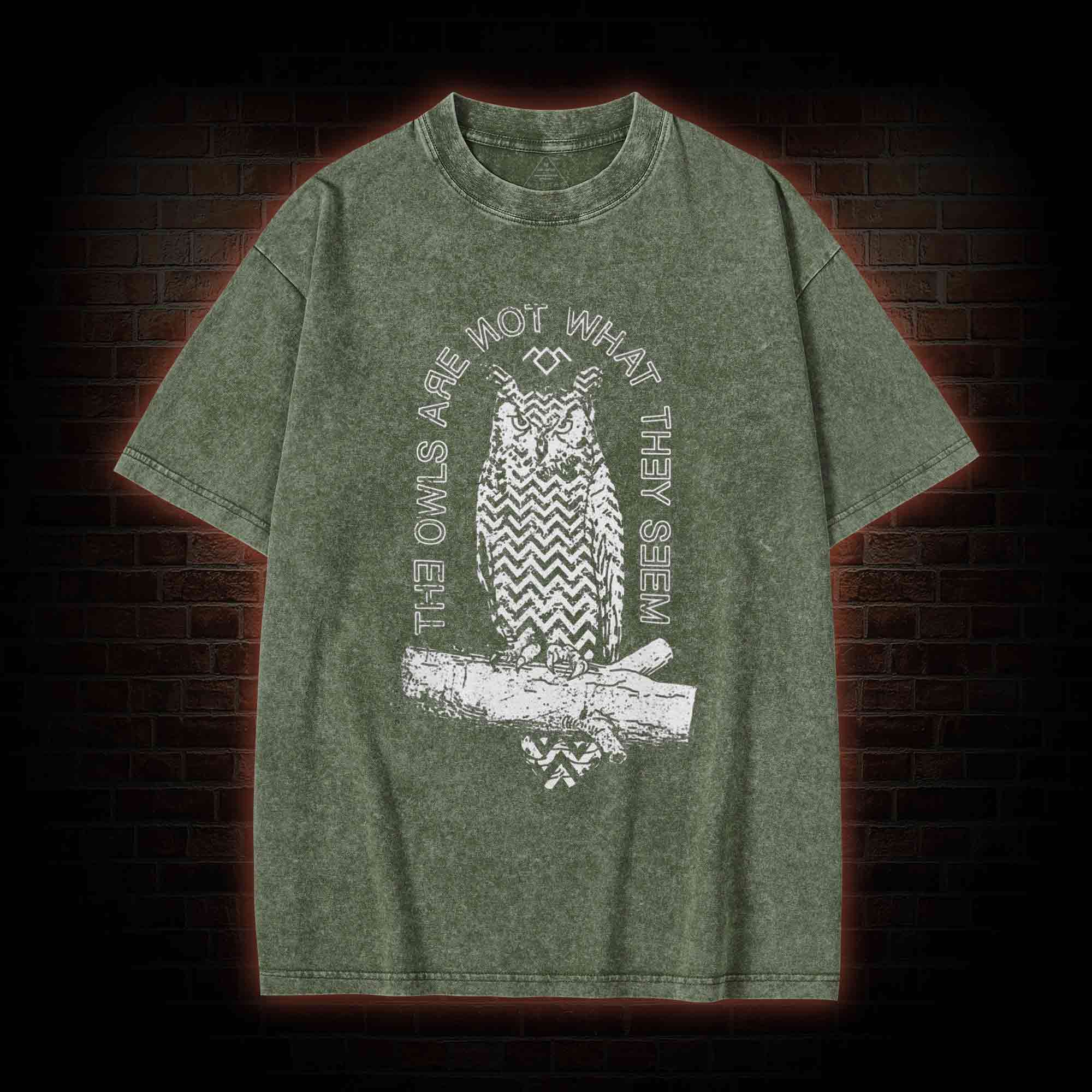 The Owls Are Not What They Seem Washed T-shirt