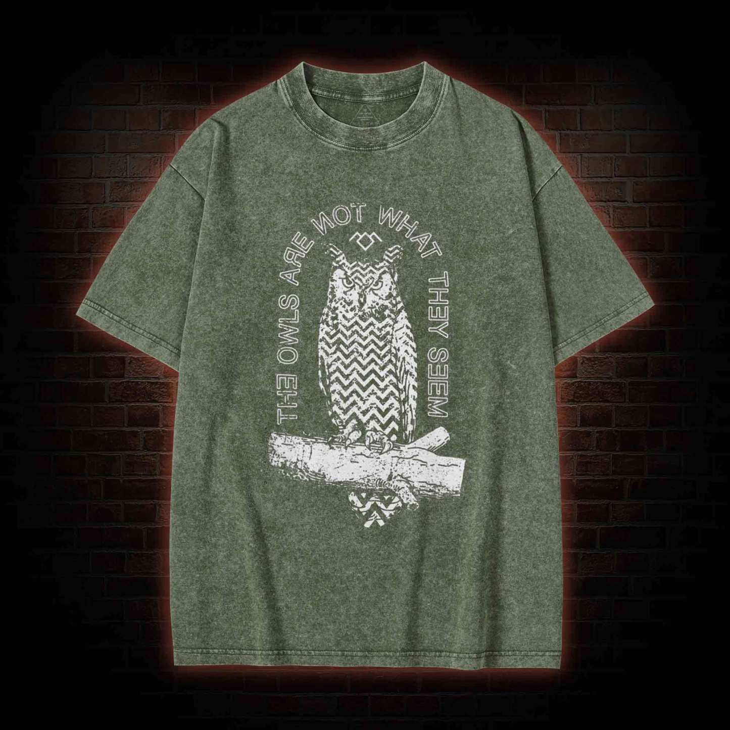The Owls Are Not What They Seem Washed T-shirt