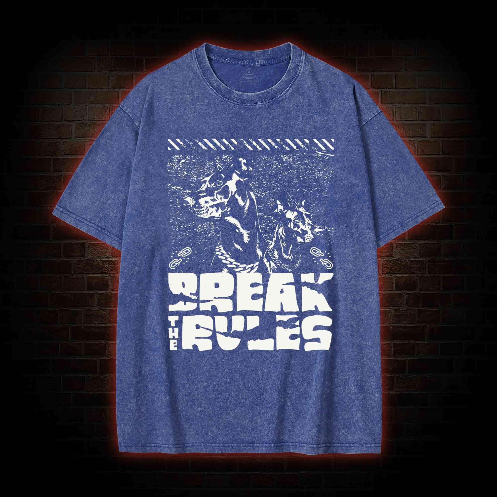 Break the Rules Washed T-shirt