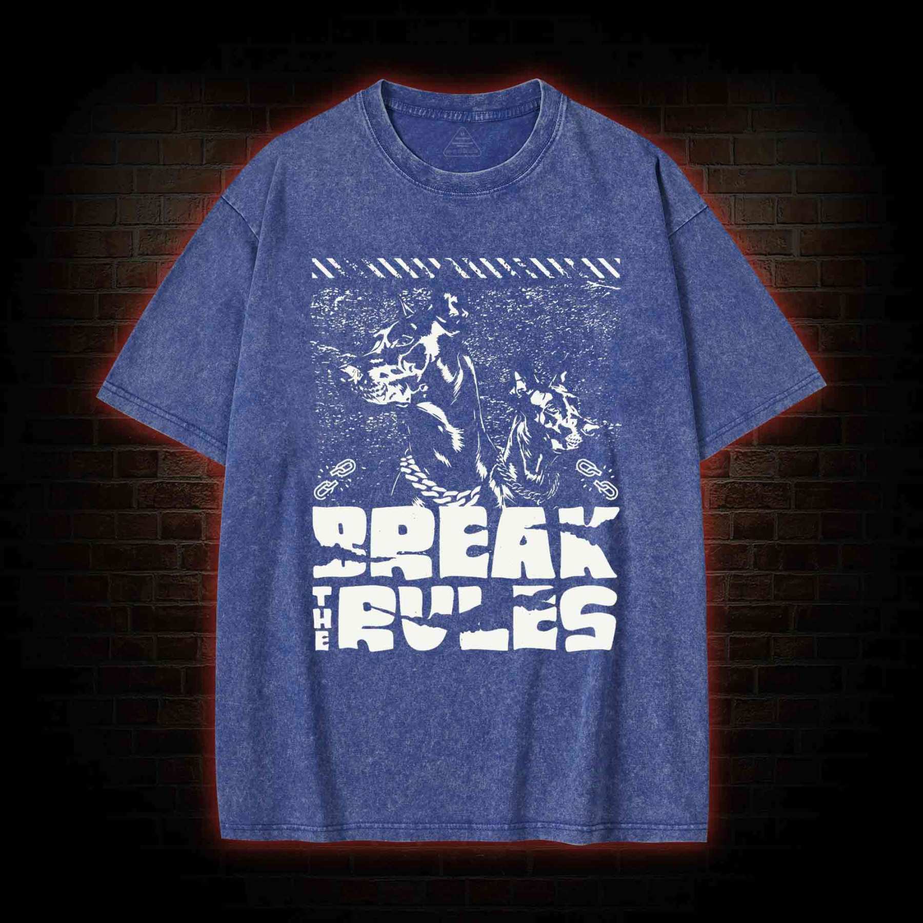 Break the Rules Washed T-shirt