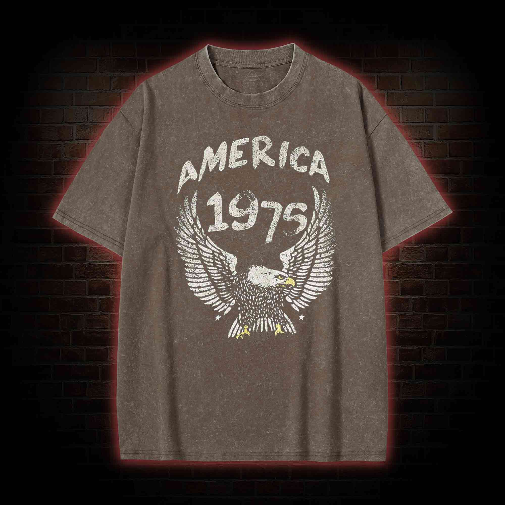 America 1975 Washed T-shirt