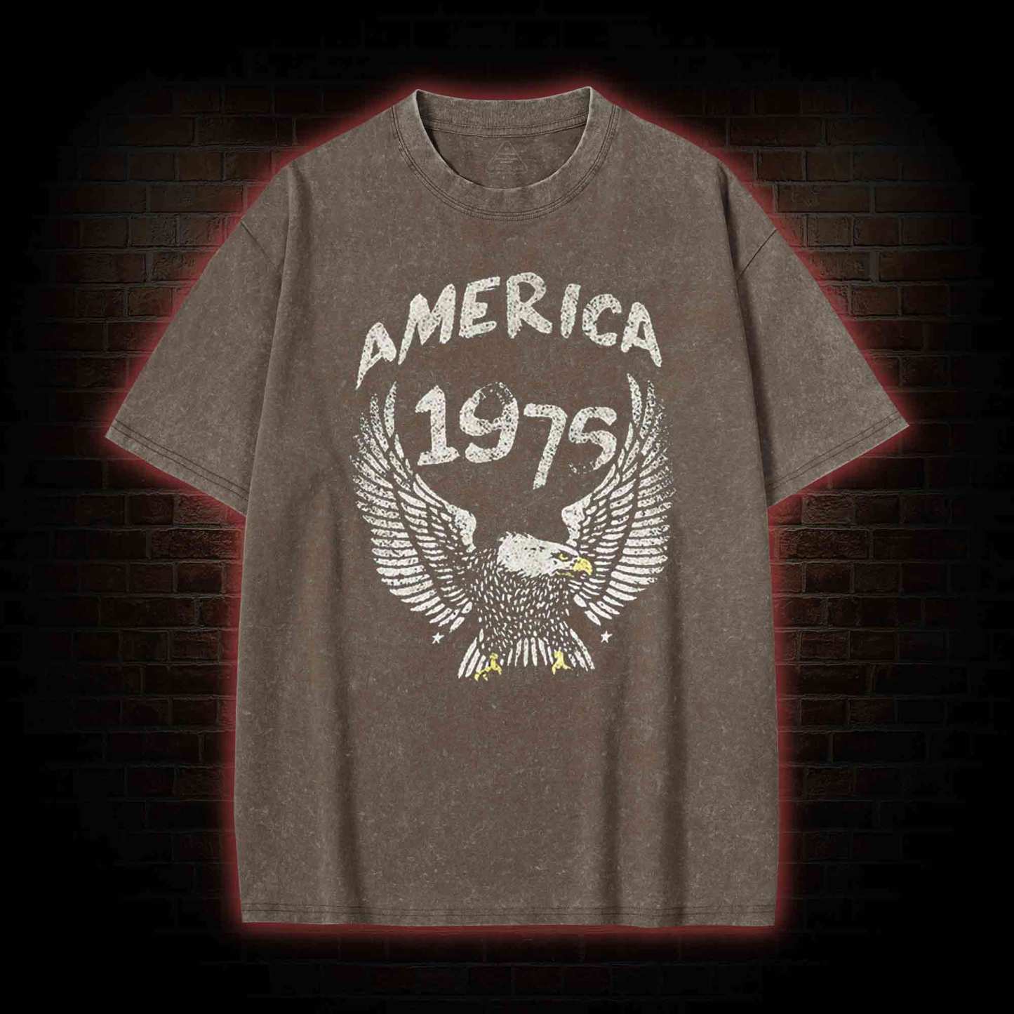 America 1975 Washed T-shirt