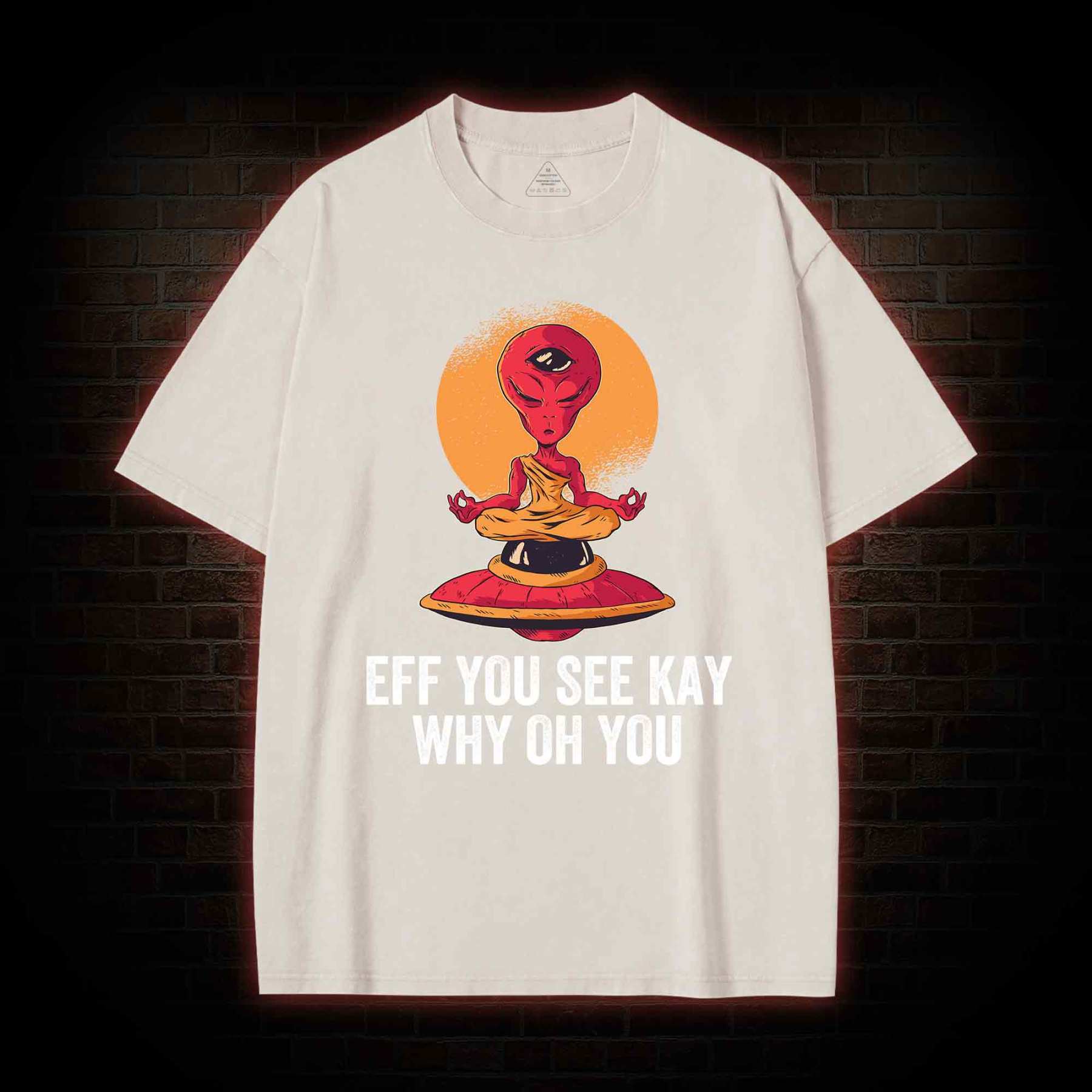 Eff You See Kay Why Oh You Alien Washed T-shirt