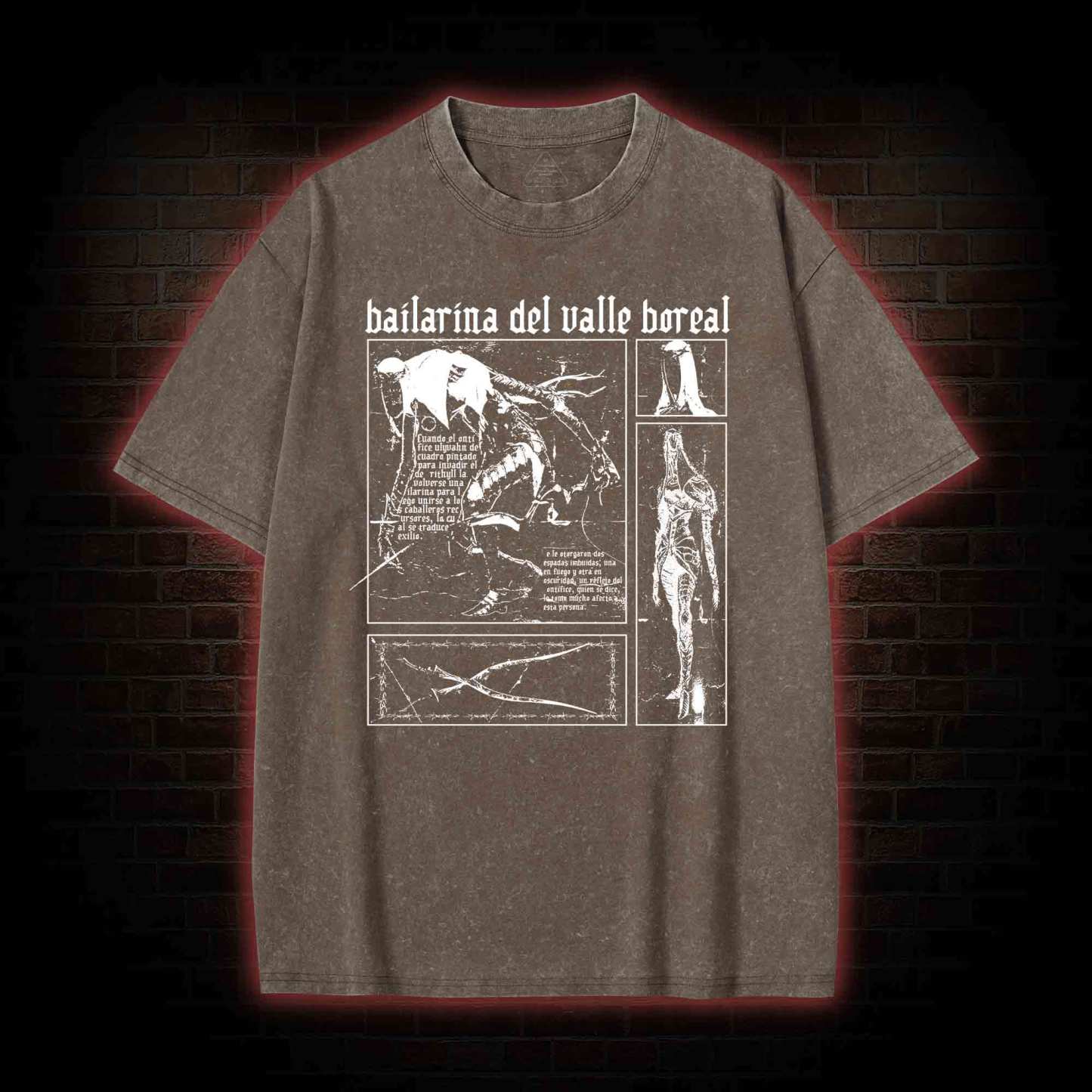 The Dancer of The Valley Washed T-shirt