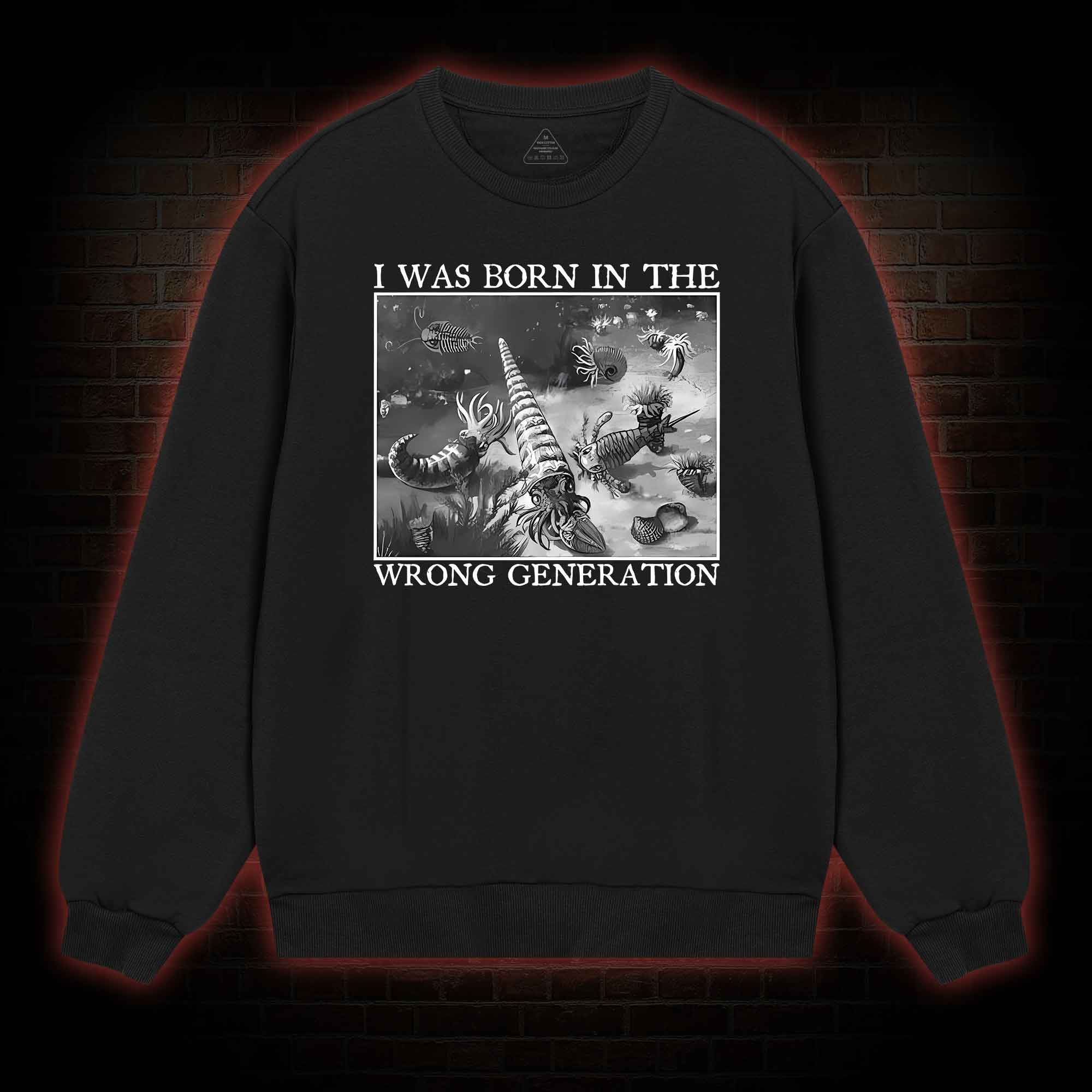 I Was Born In The Wrong Generation Sweatshirt