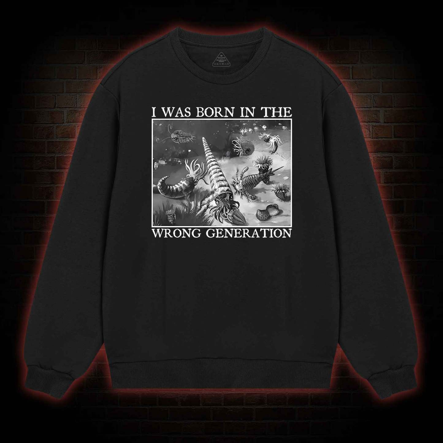 I Was Born In The Wrong Generation Sweatshirt