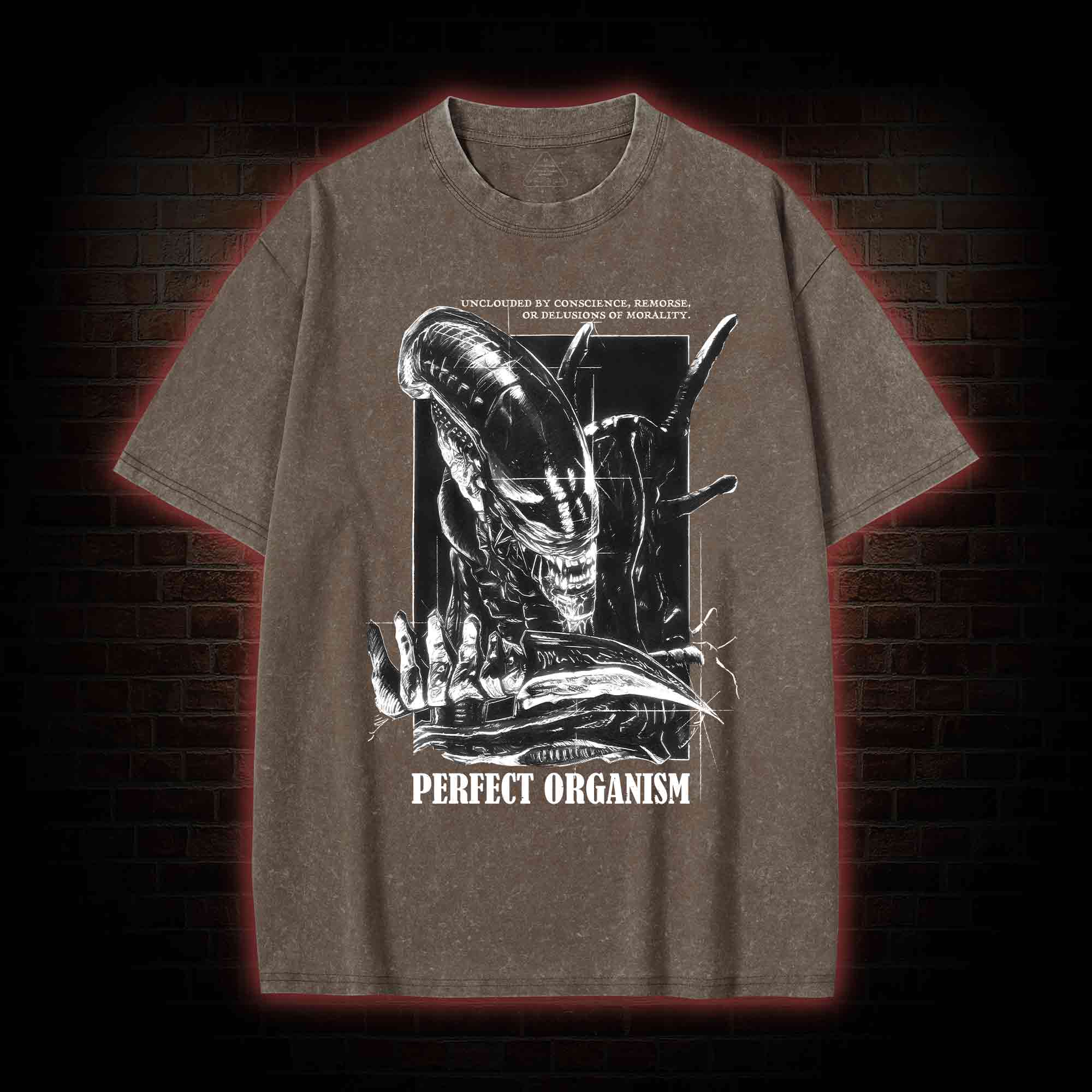 Perfect Organism Retro Washed T-shirt