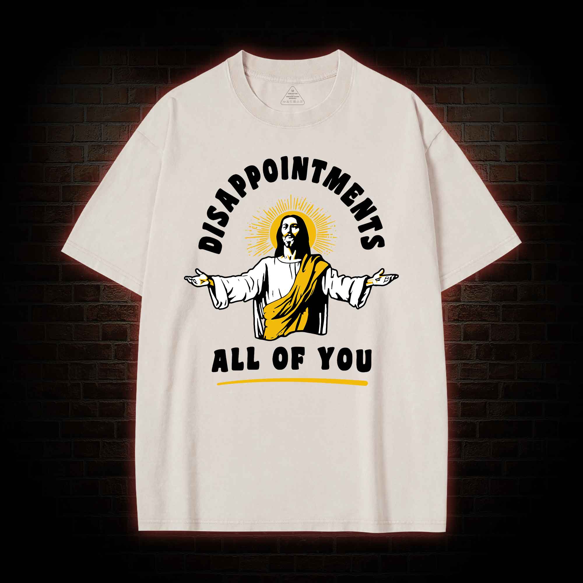 Disappointments All Of You Washed T-shirt