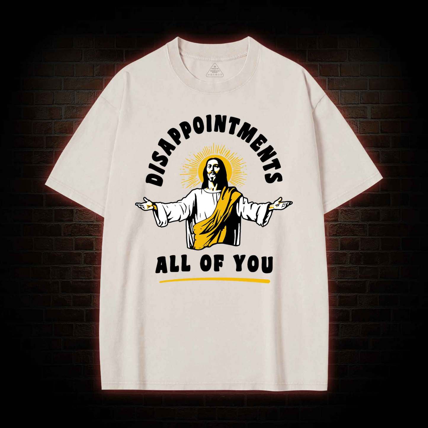 Disappointments All Of You Washed T-shirt