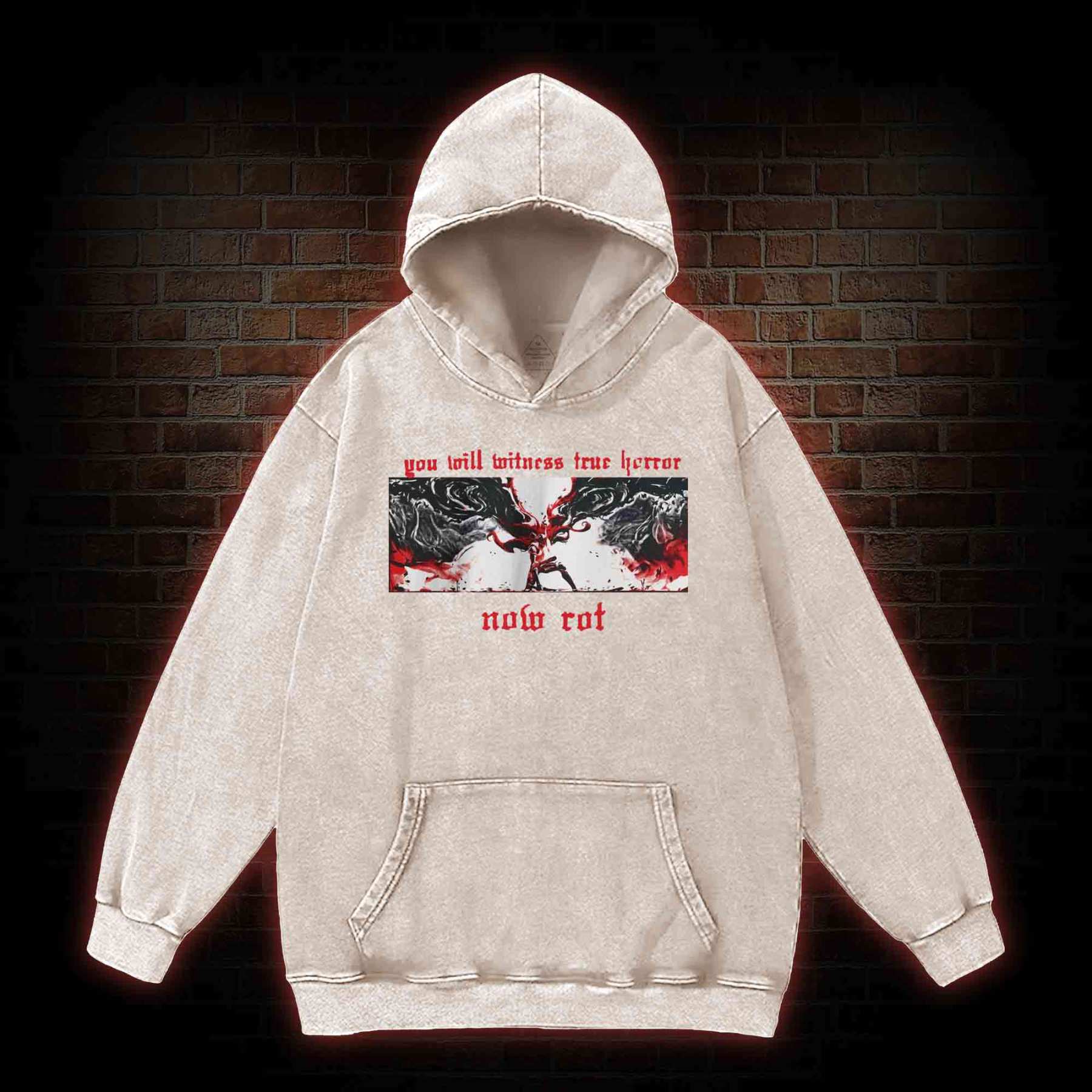 Put These Foolish Ambitions to Rest Washed Hoodie