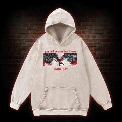 Put These Foolish Ambitions to Rest Washed Hoodie