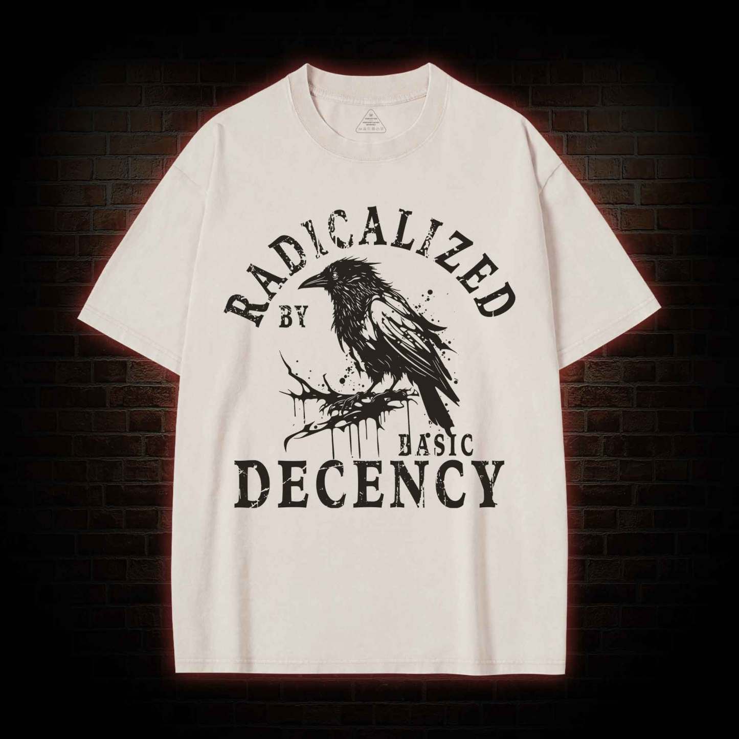 Radicalized by Basic Decency Crow Washed T-shirt