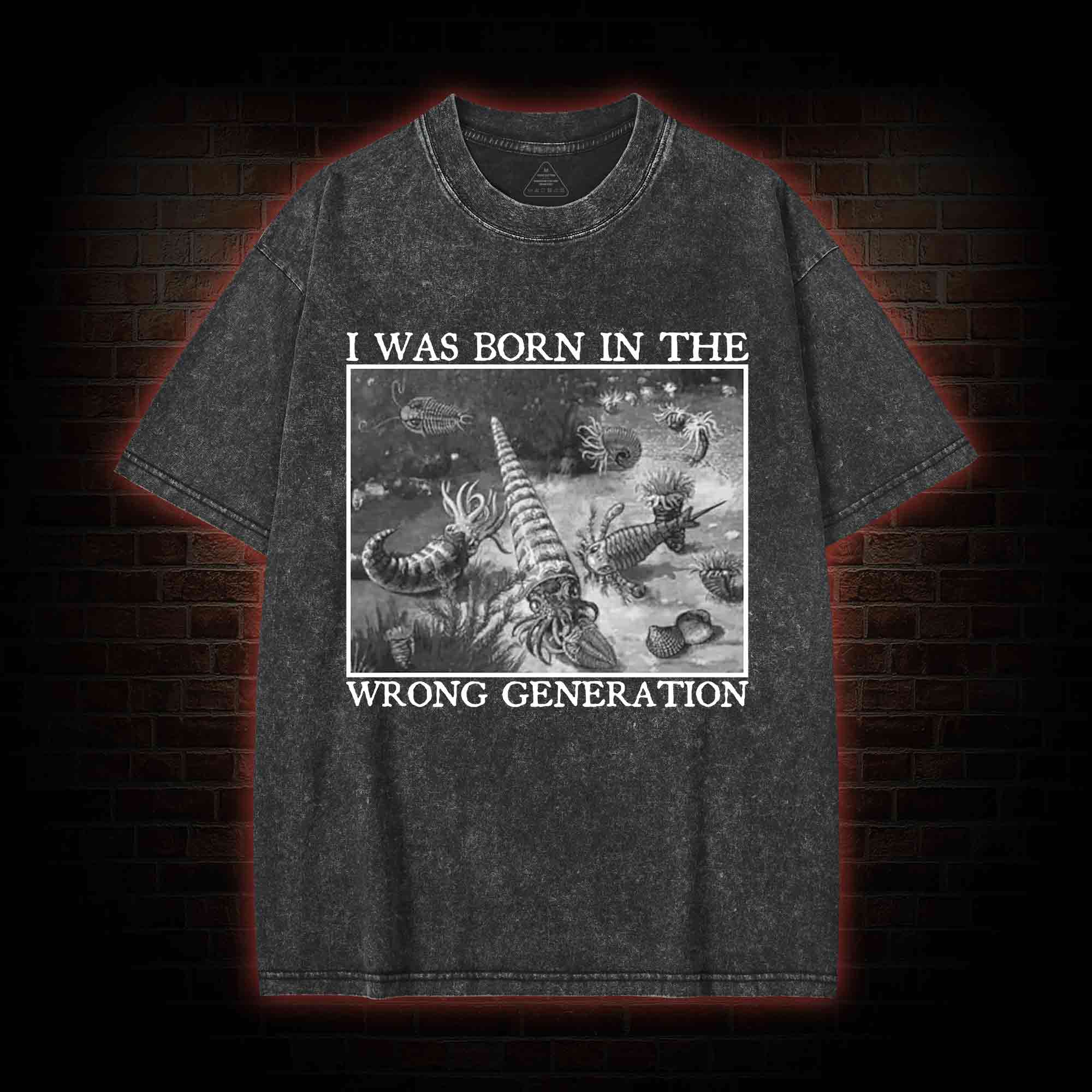 I Was Born In The Wrong Generation Washed T-shirt