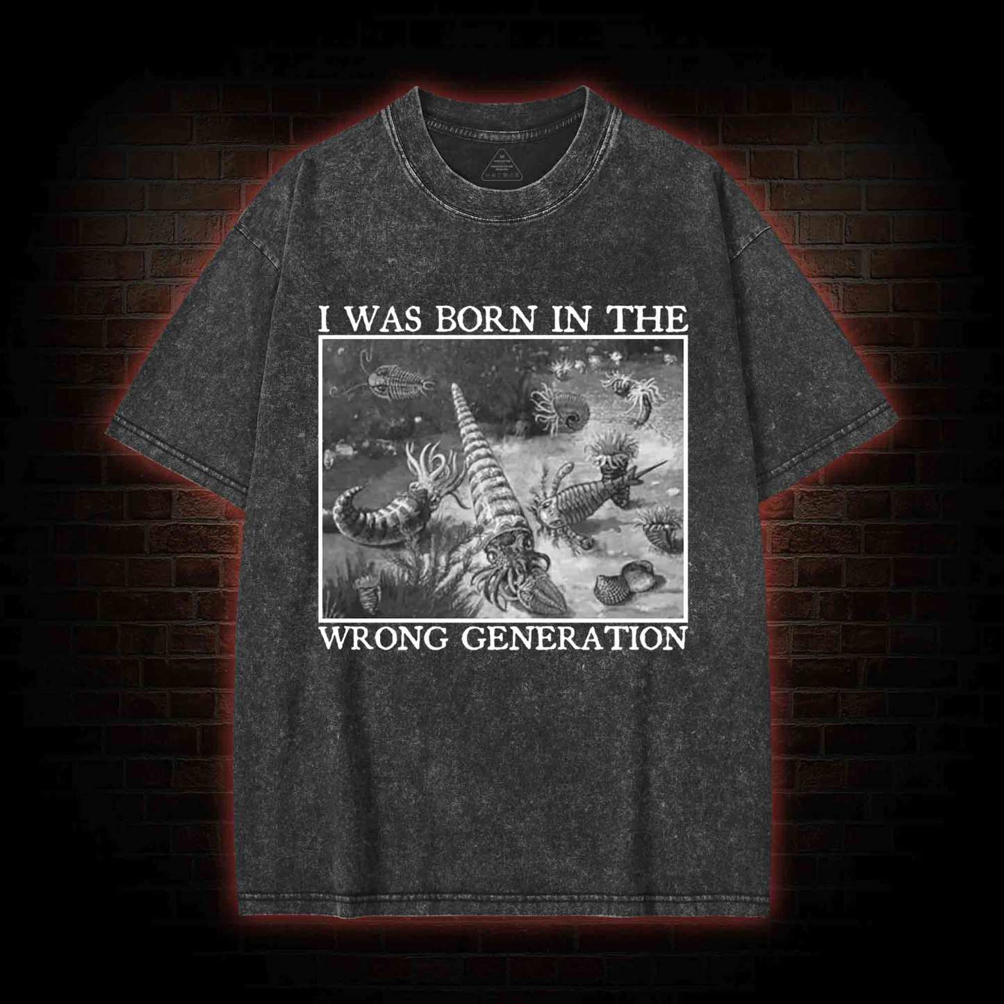 I Was Born In The Wrong Generation Washed T-shirt
