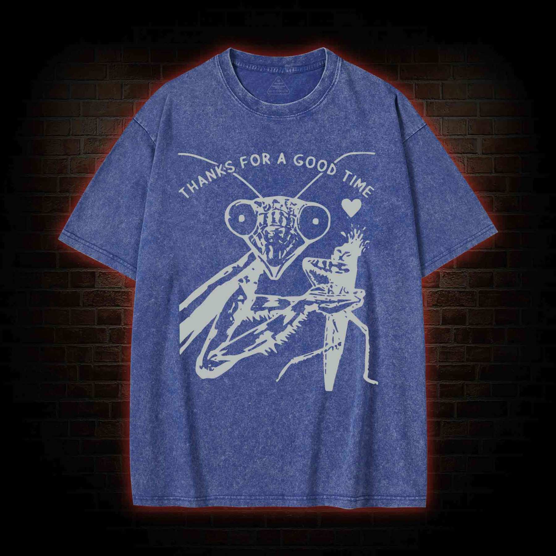 Thanks For A Good Time Washed T-shirt