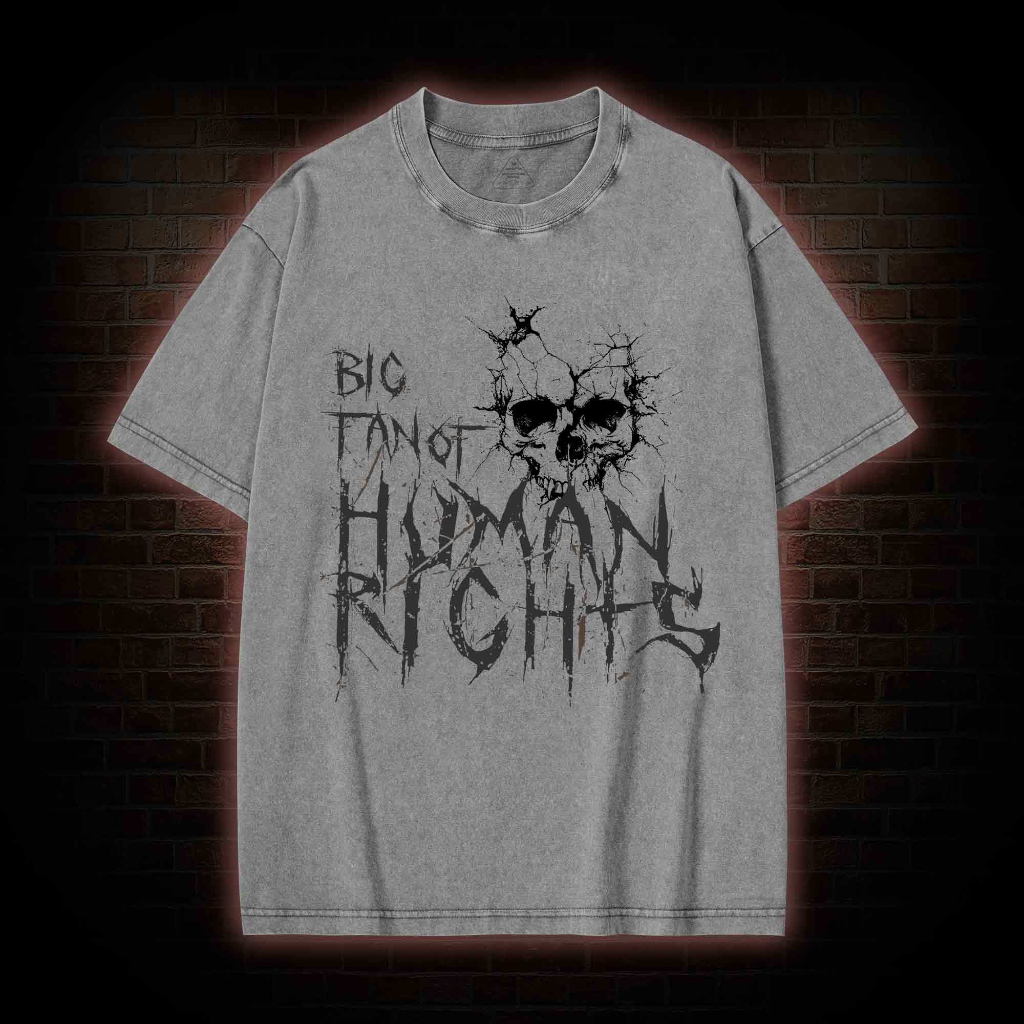 Big Fan of Human Rights Washed T-shirt