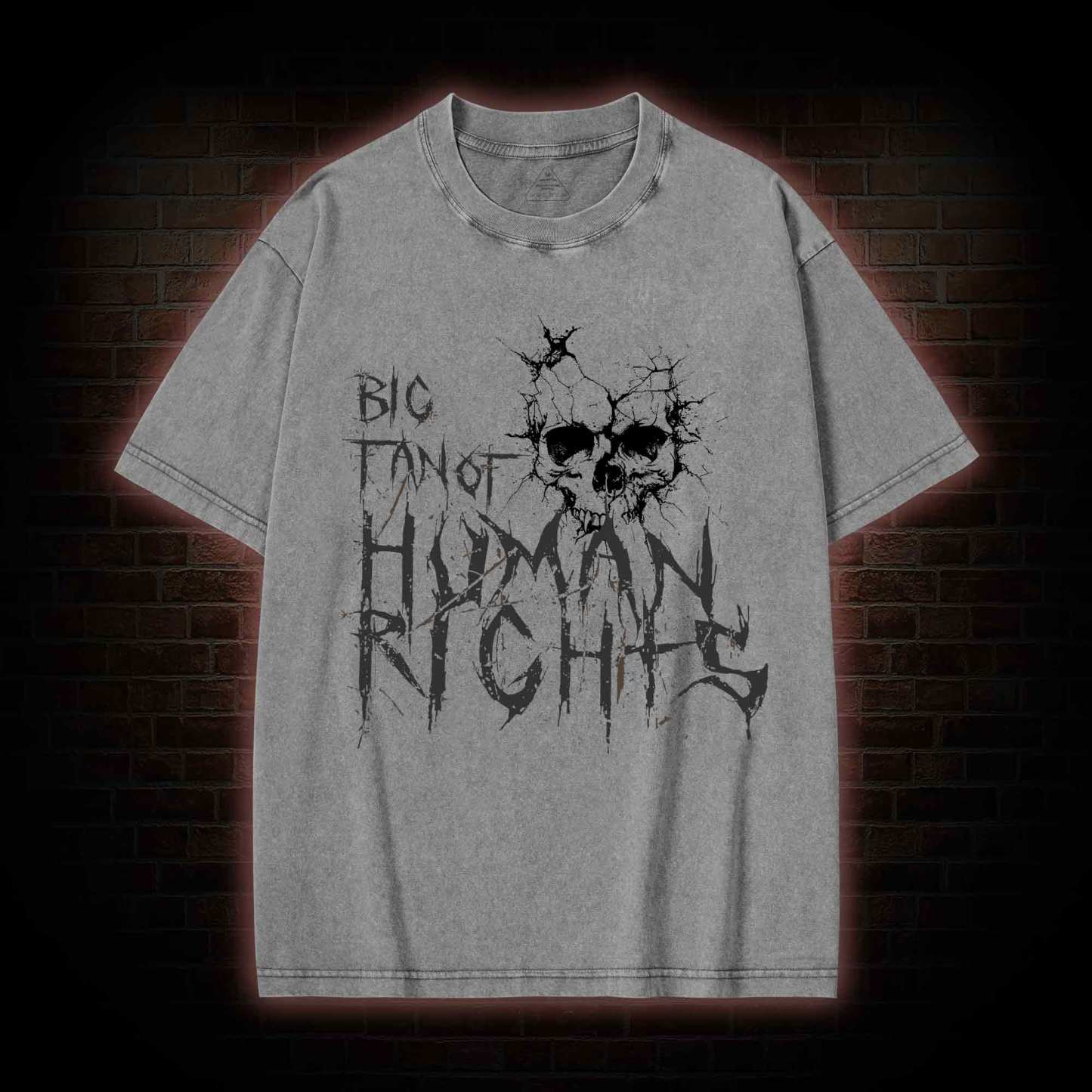 Big Fan of Human Rights Washed T-shirt