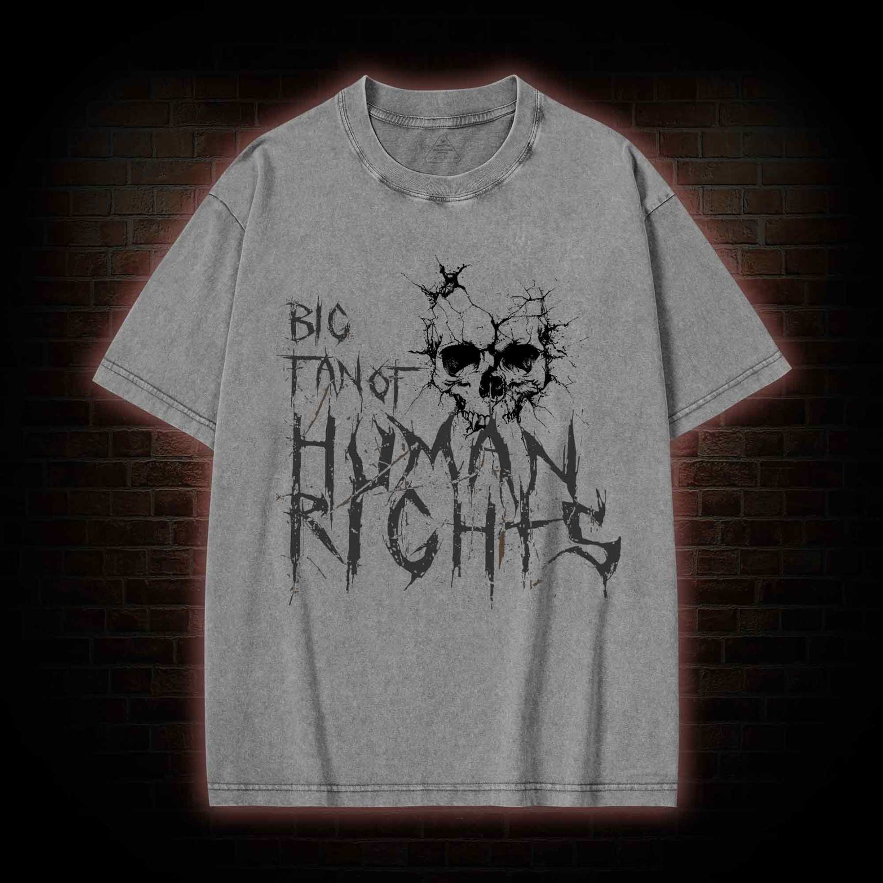 Big Fan of Human Rights Washed T-shirt