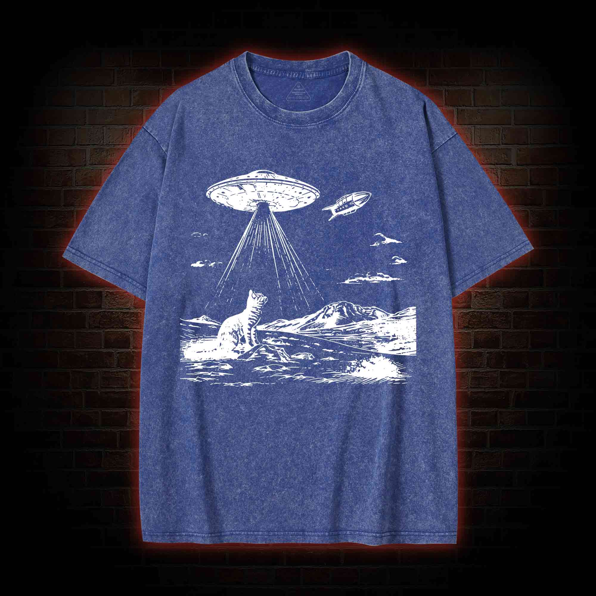 Ufo Cat Washed T-shirt