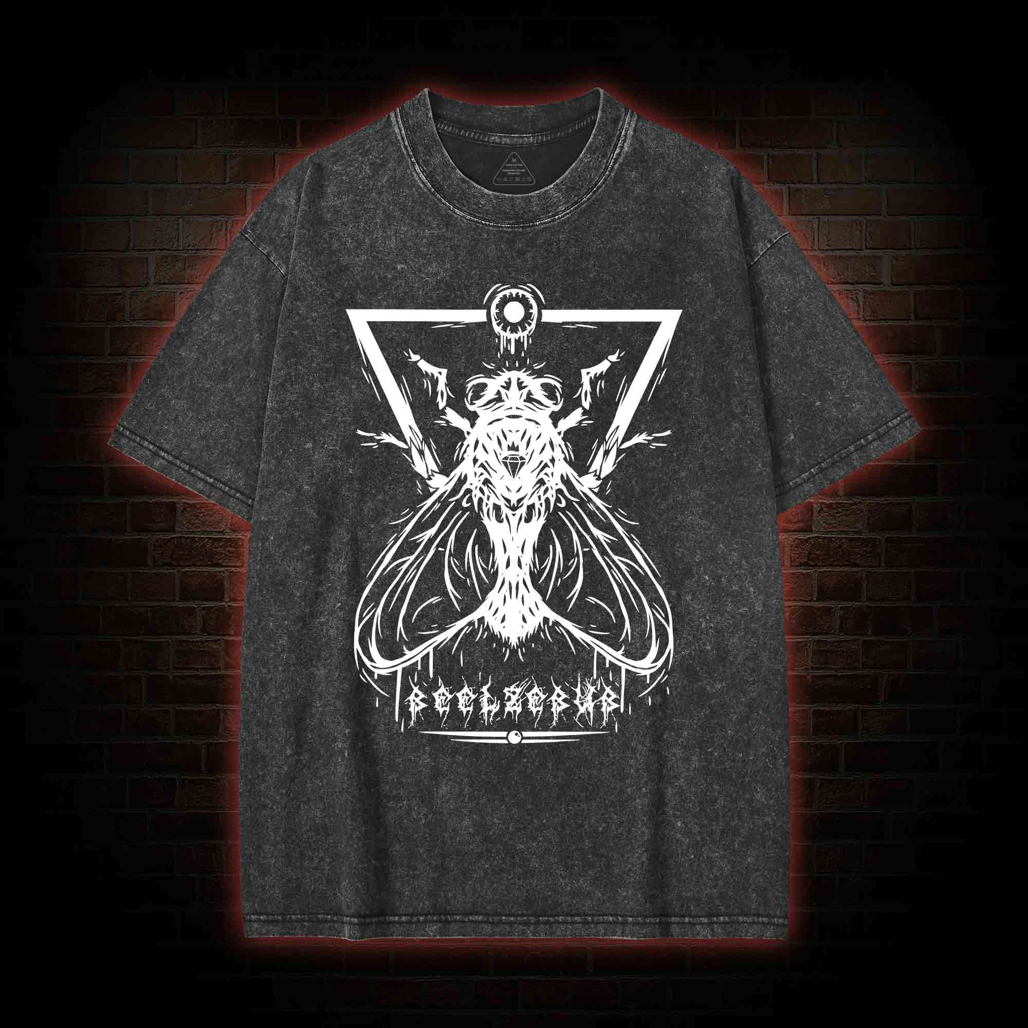 Beelzebub Fly Lord Washed T-shirt
