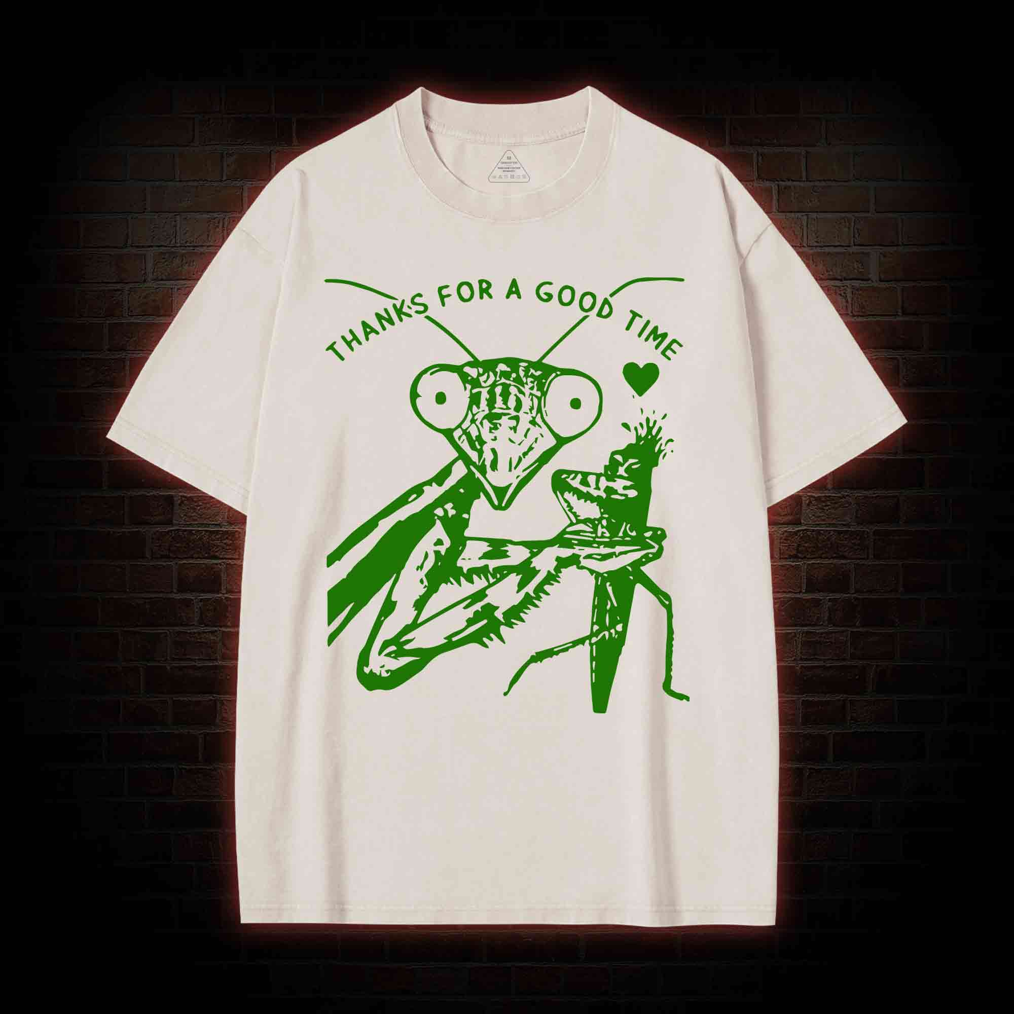 Thanks For A Good Time Washed T-shirt