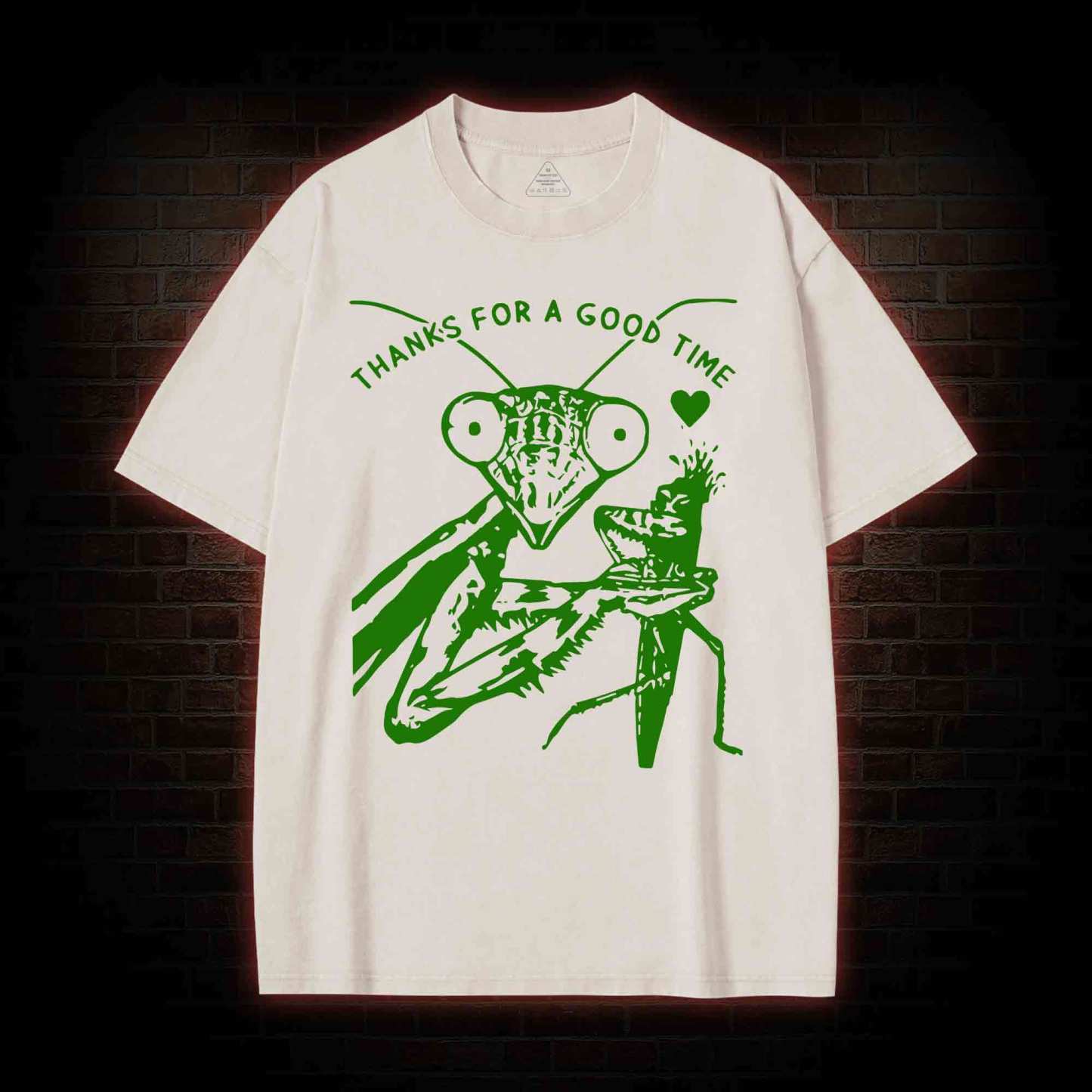 Thanks For A Good Time Washed T-shirt