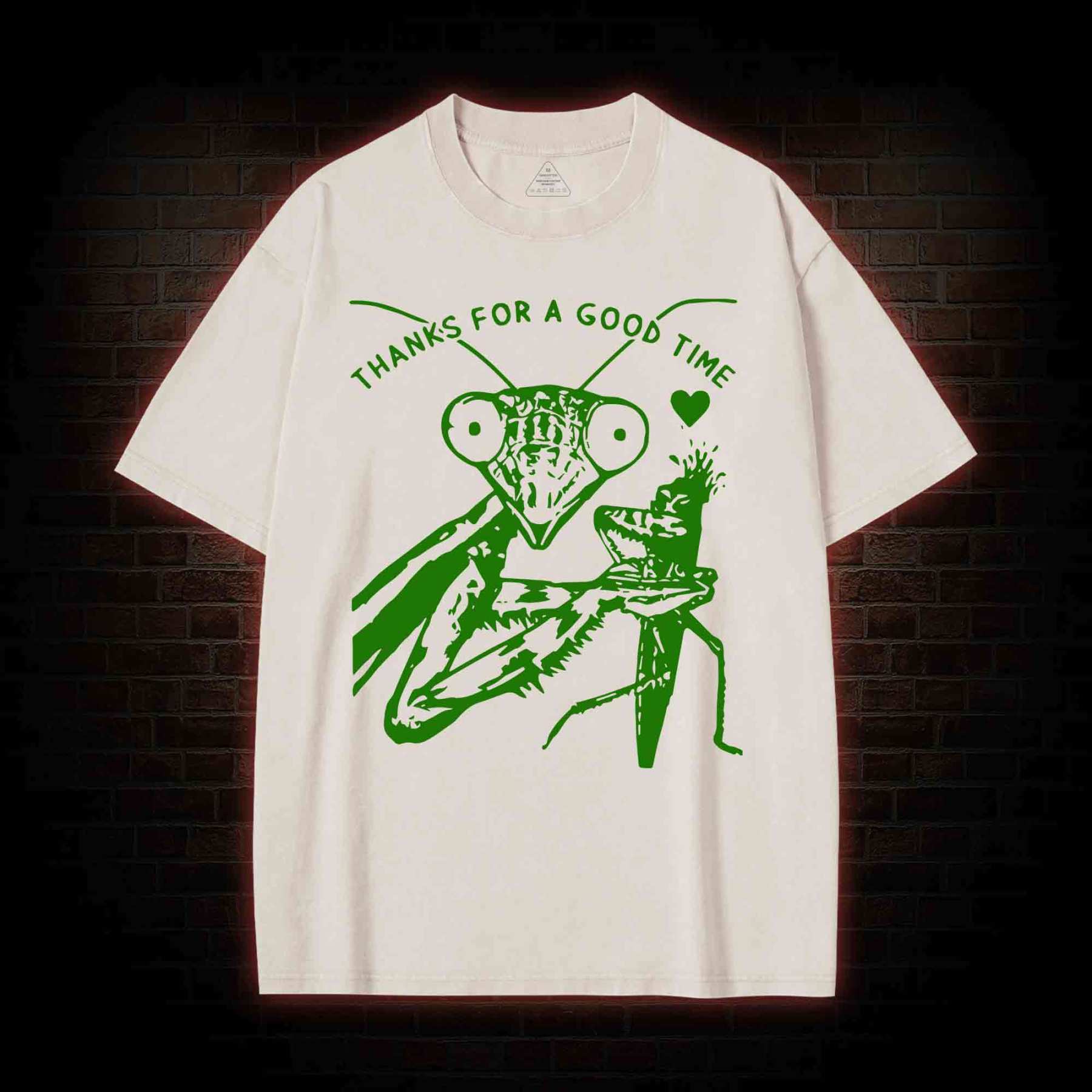 Thanks For A Good Time Washed T-shirt